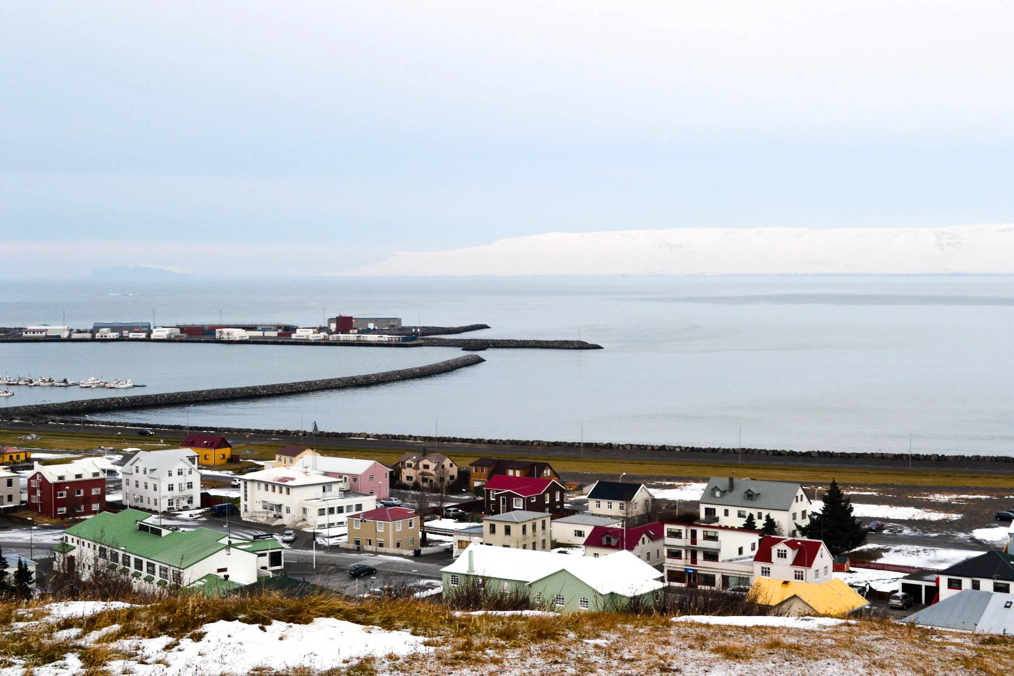 DSC_0012.jpg