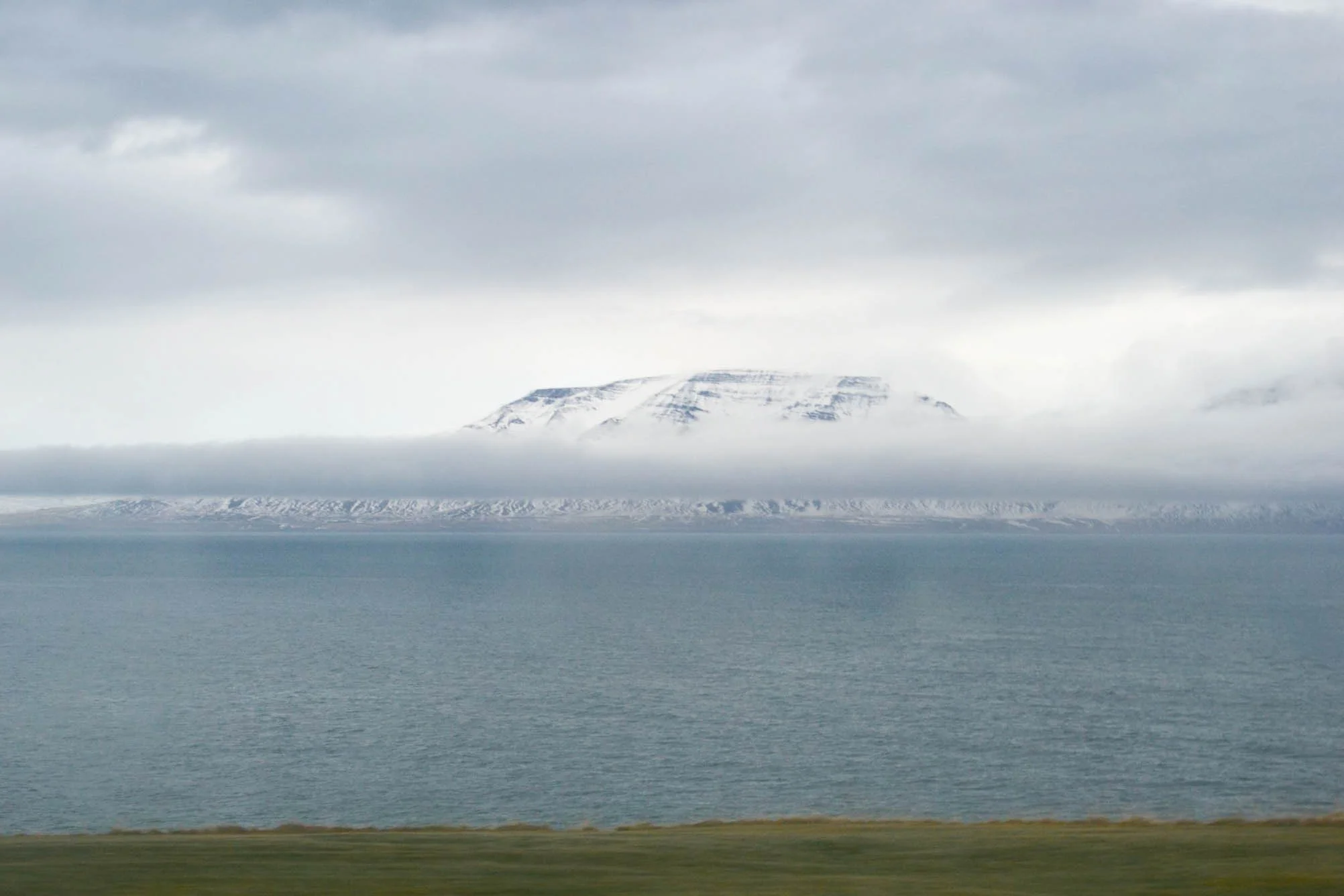 DSC_0113.jpg