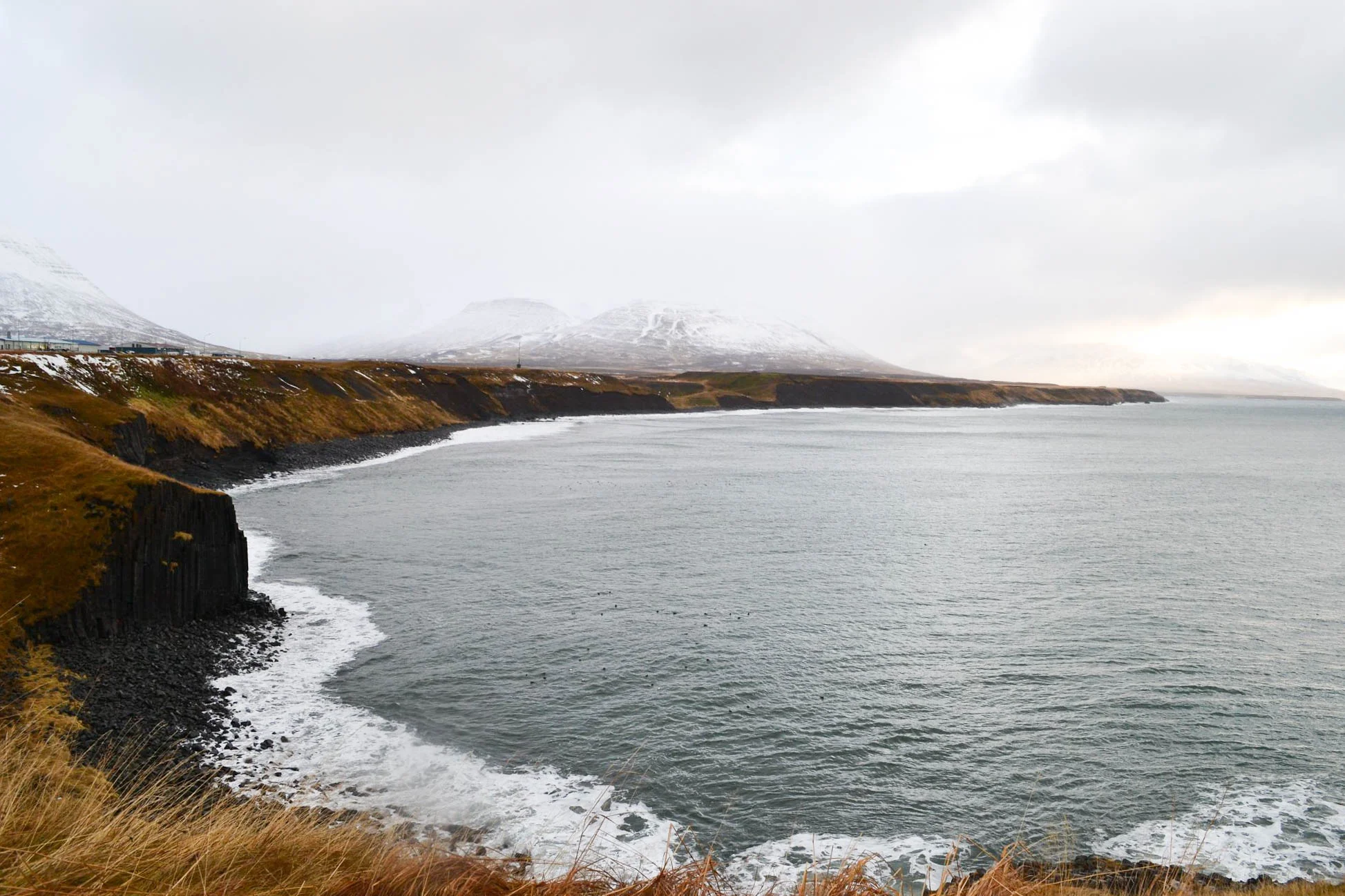 DSC_0361.jpg