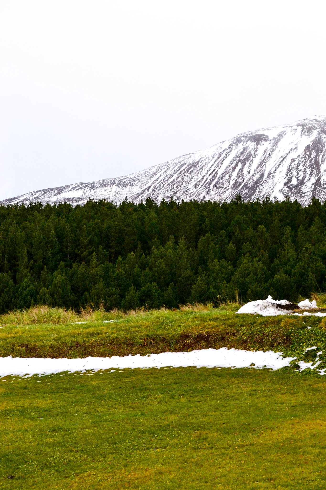 DSC_0381.jpg
