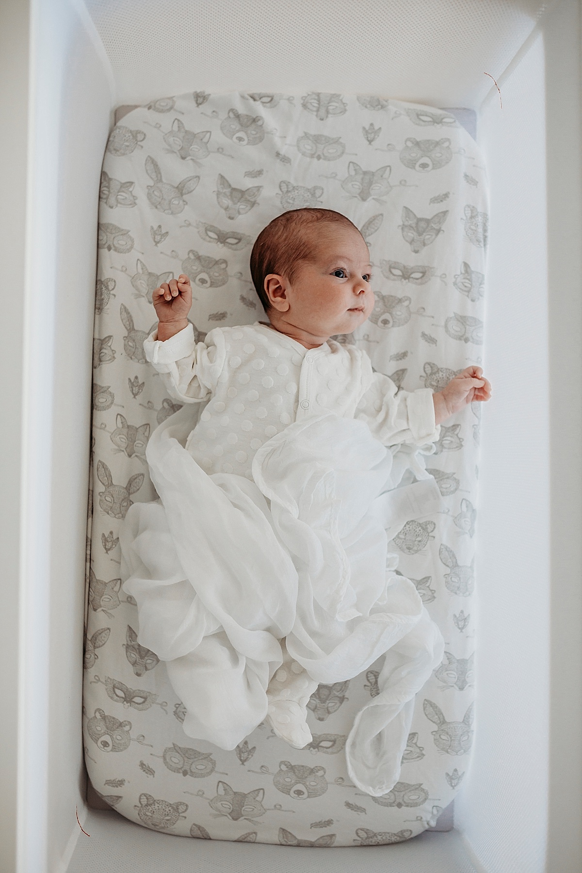 Wollongong Newborn Photographer_0125.jpg