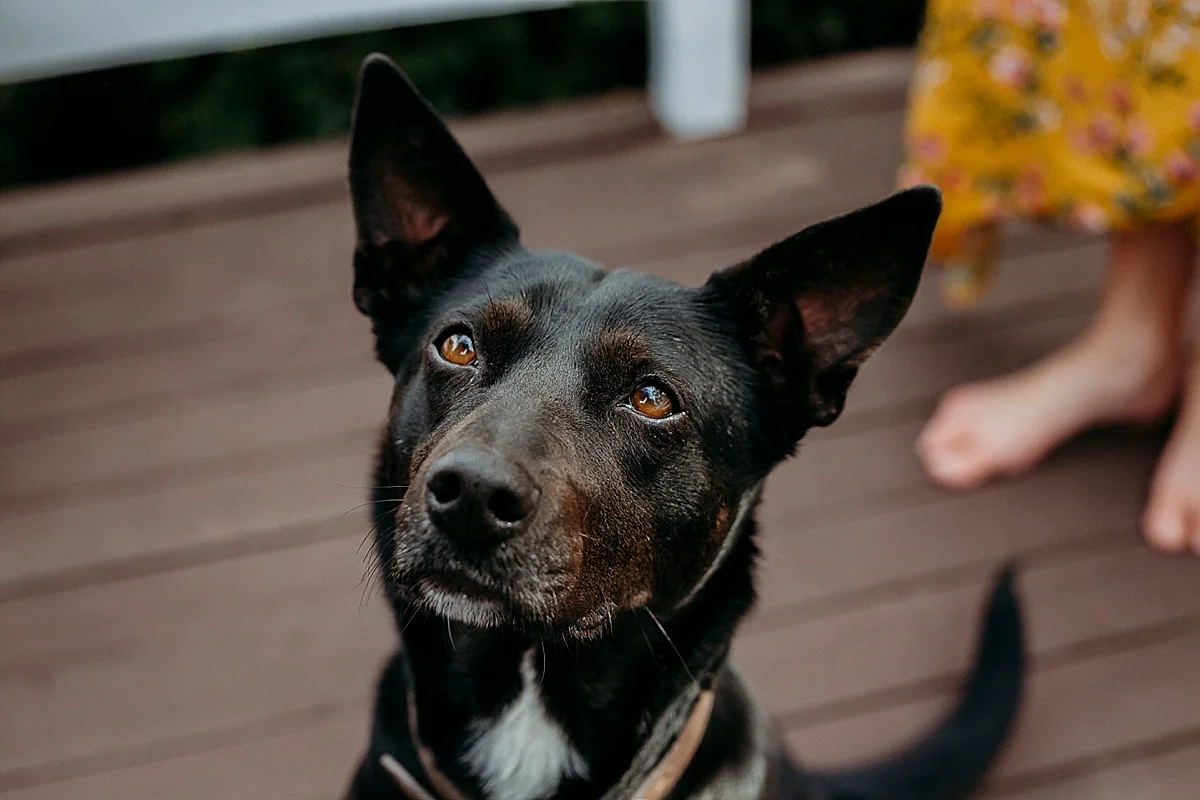 Wollongong Newborn Photographer_0319.jpg