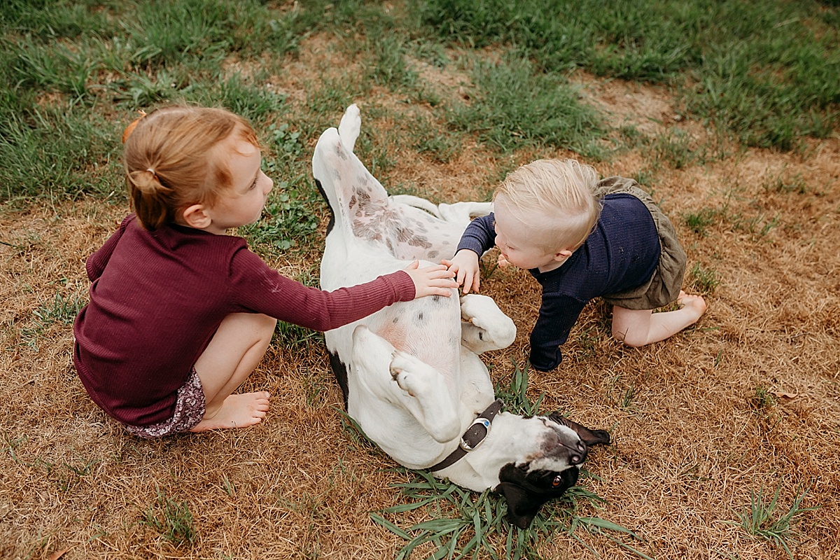 kids giving dog a belly rub