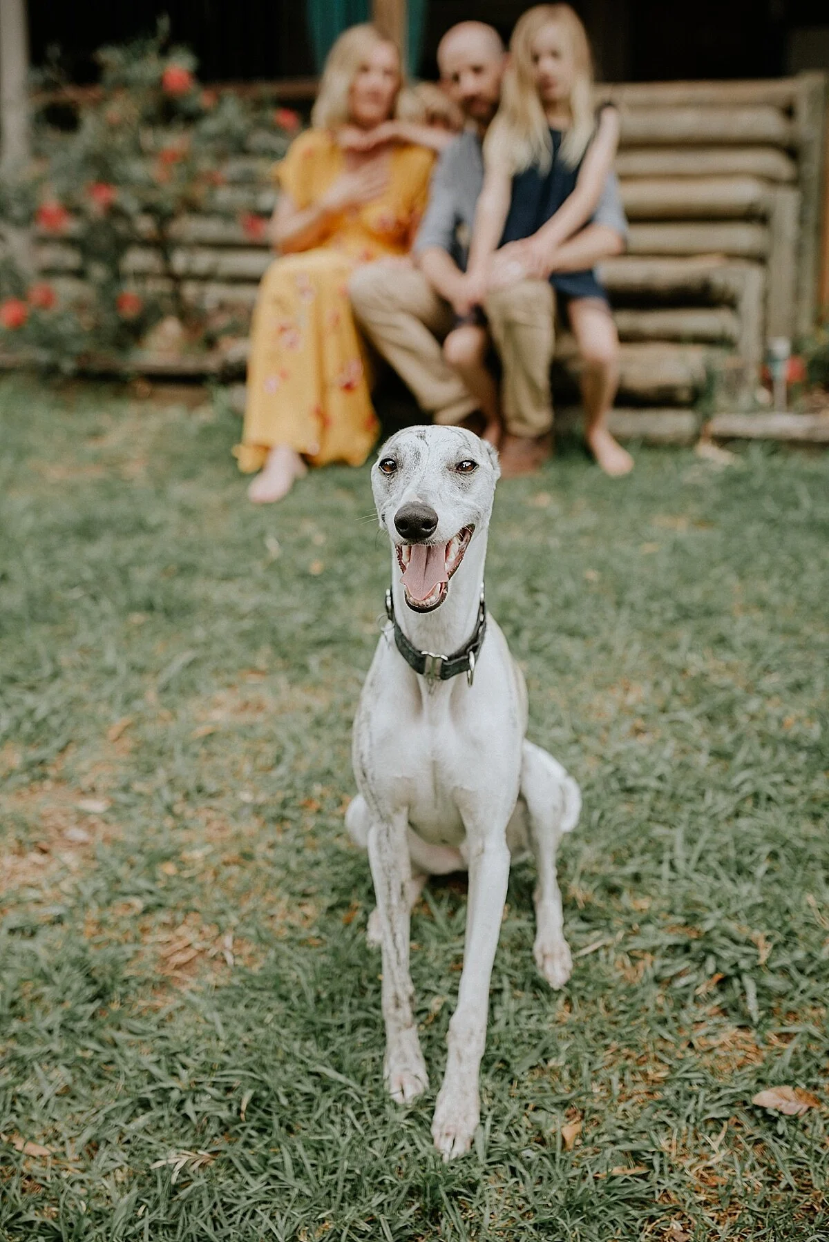 Wollongong Southern Sydney Photographer_0323.jpg