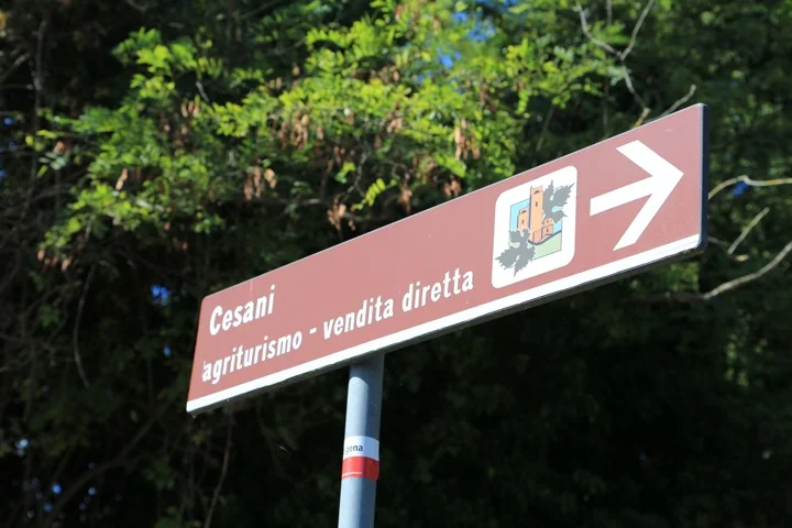 Cesani 3.jpg