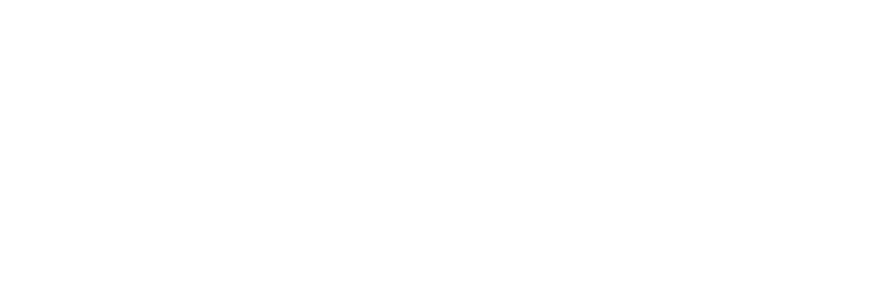 Mindful Bizness