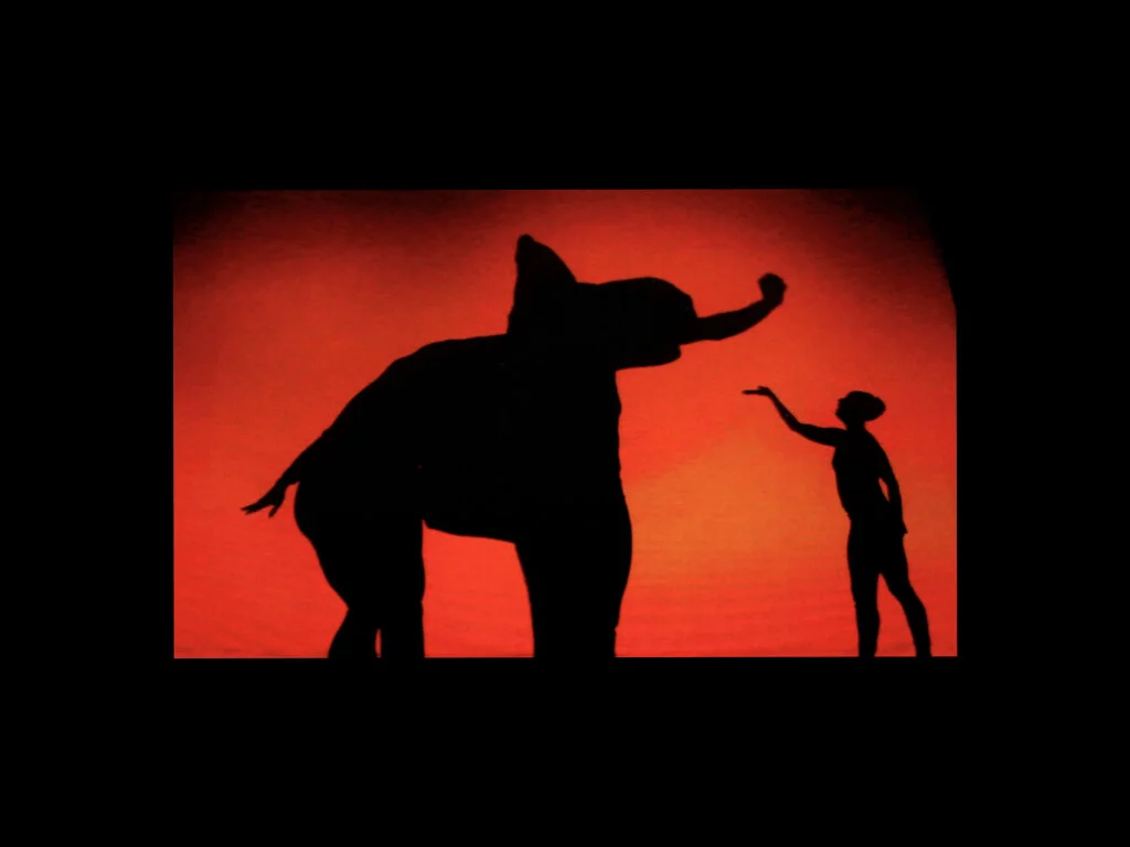 THÉÂTRE D’OMBRES