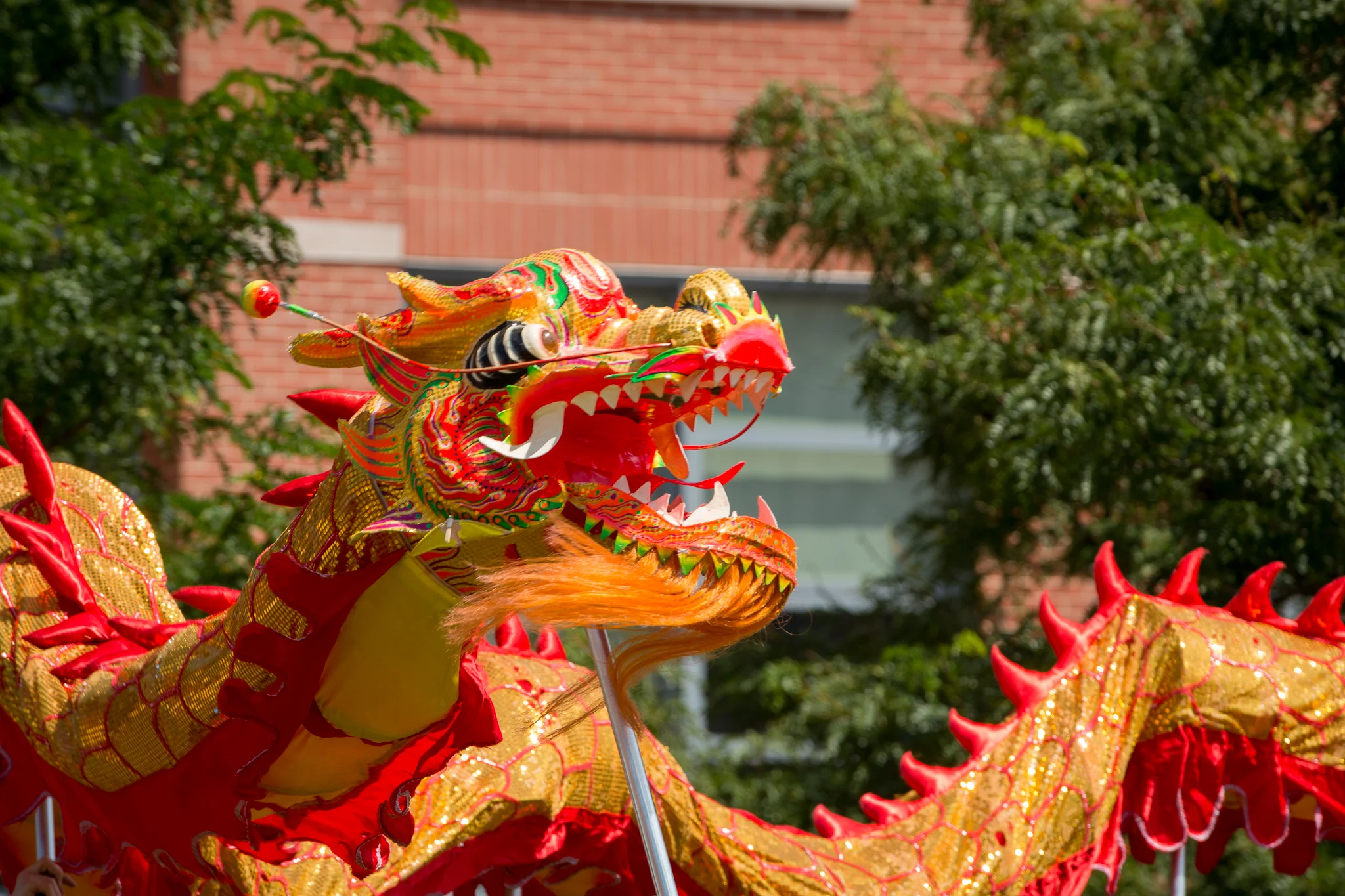 21 Virtual Lunar New Year Festival Qari 21 Virtual Lunar New Year Festival Qari