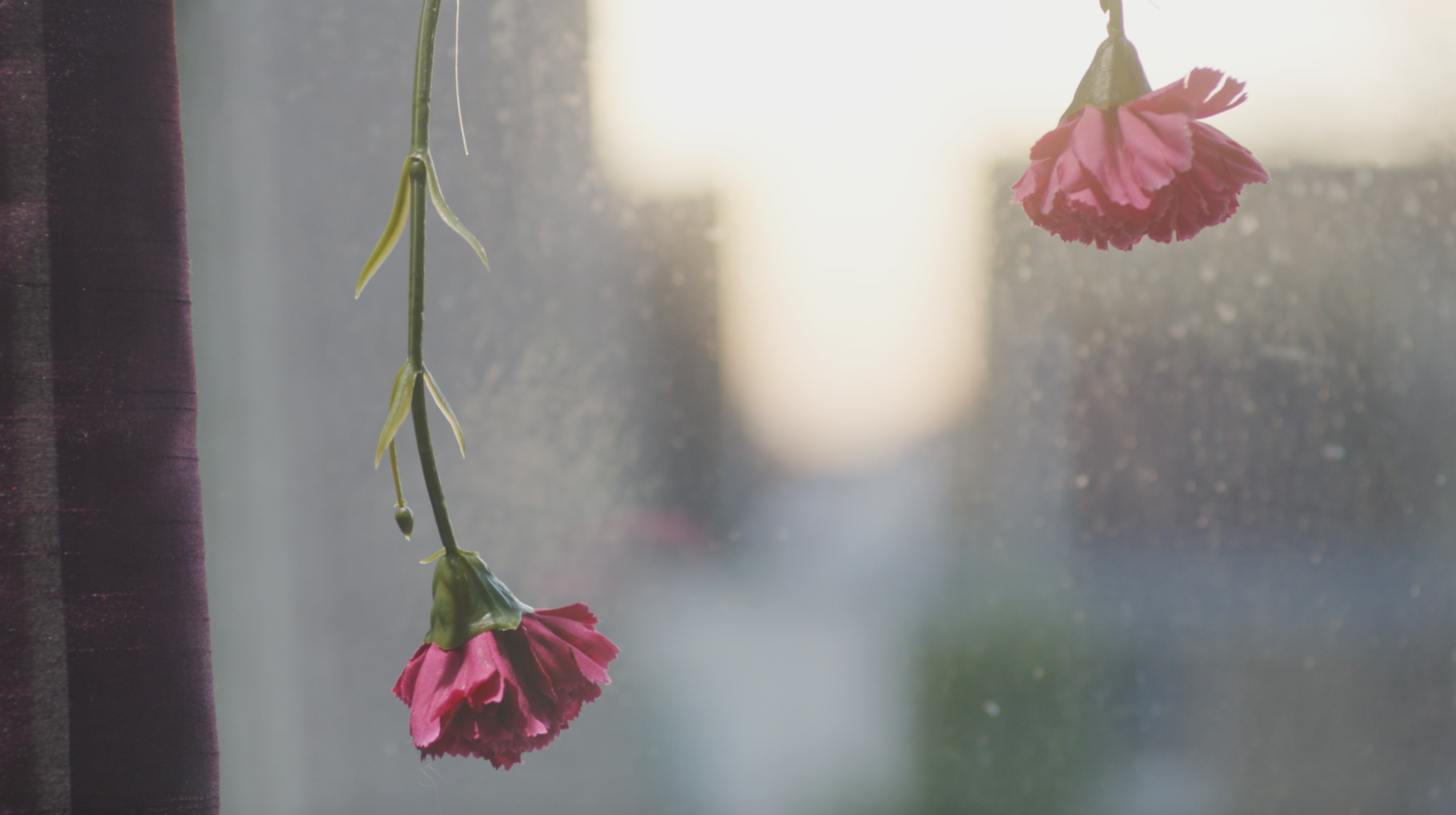 Screen Shot 2018-02-20 at 15.07.38.png