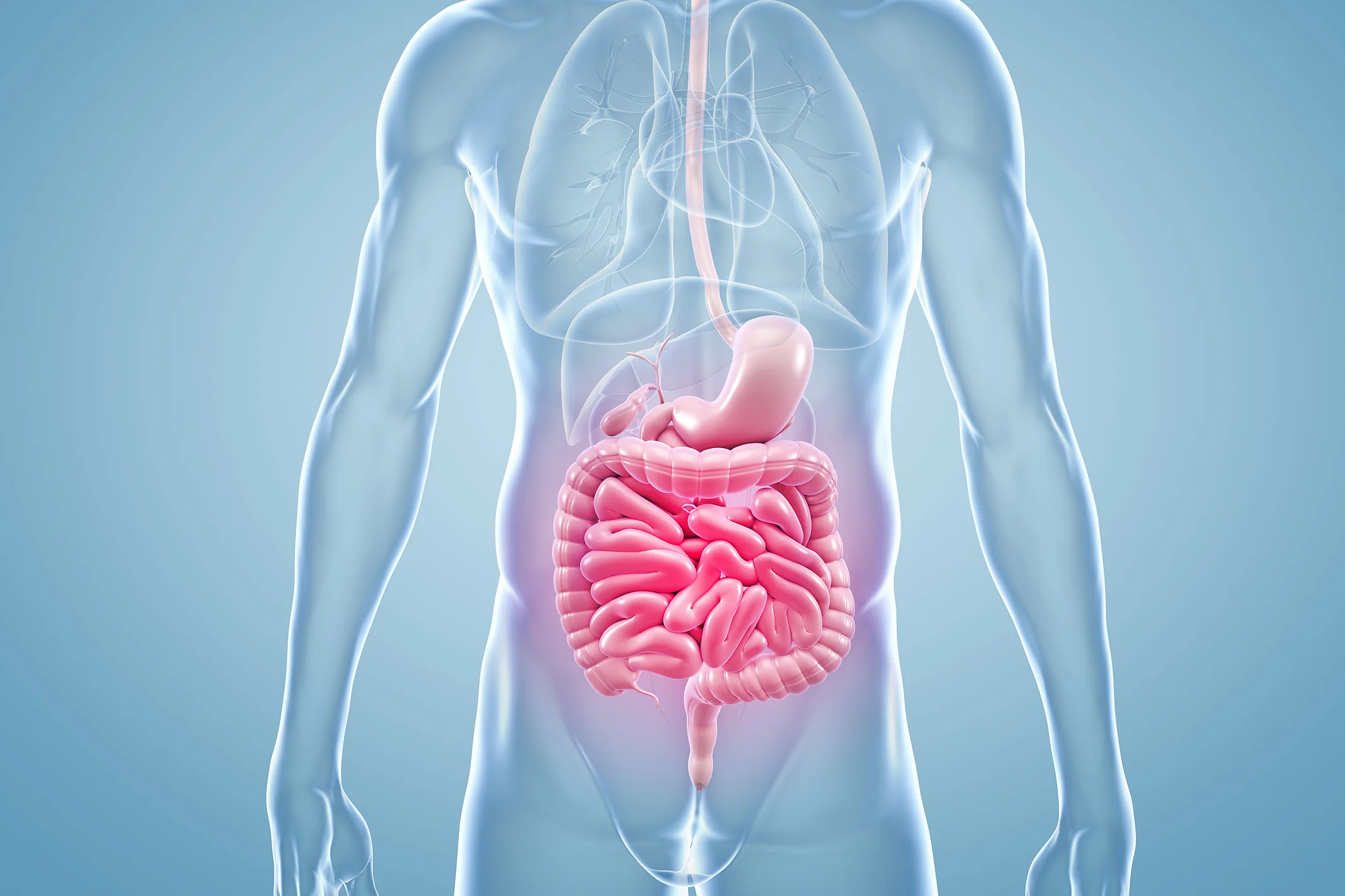 Colon.jpg