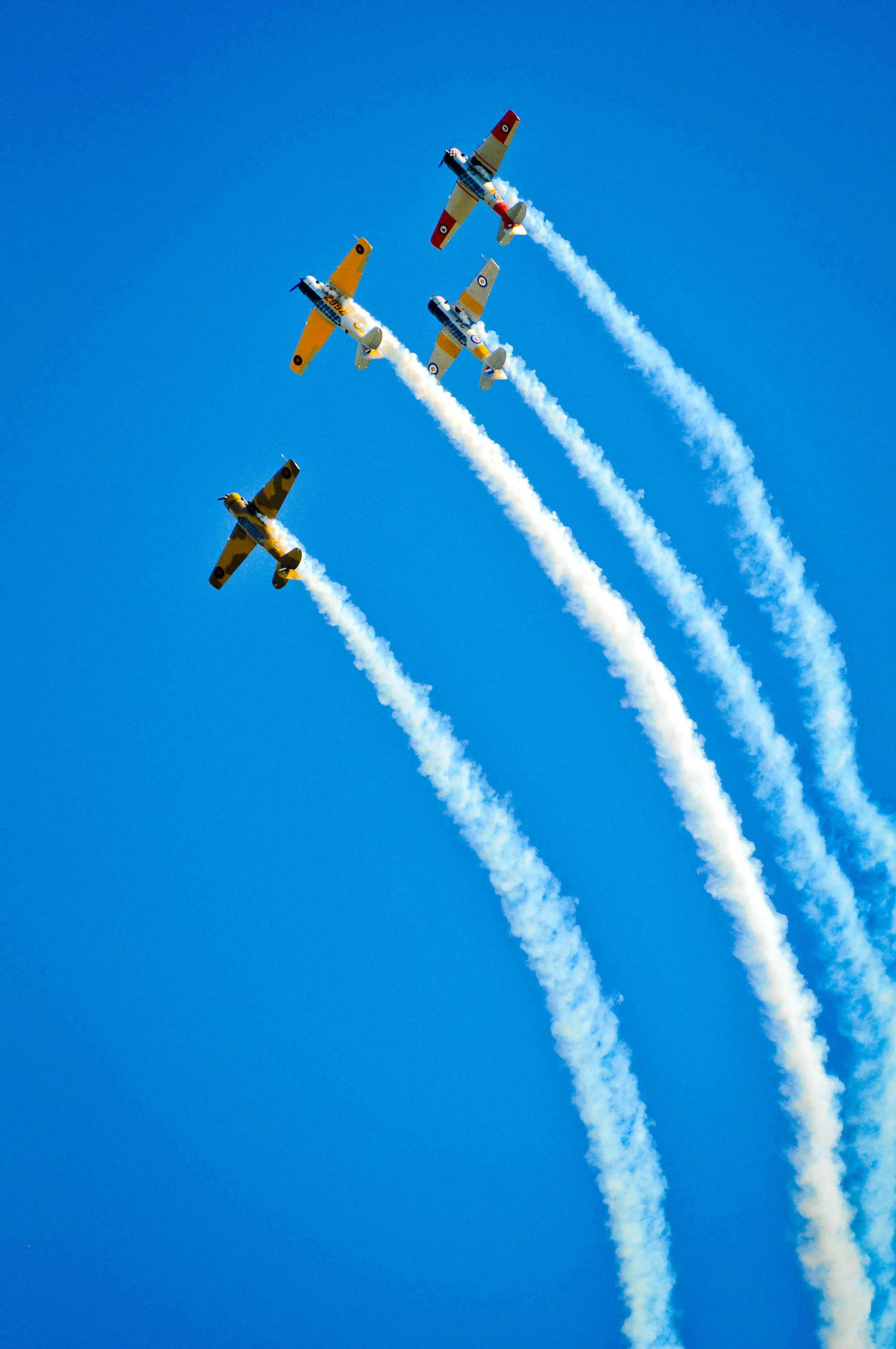 _D307497.jpg