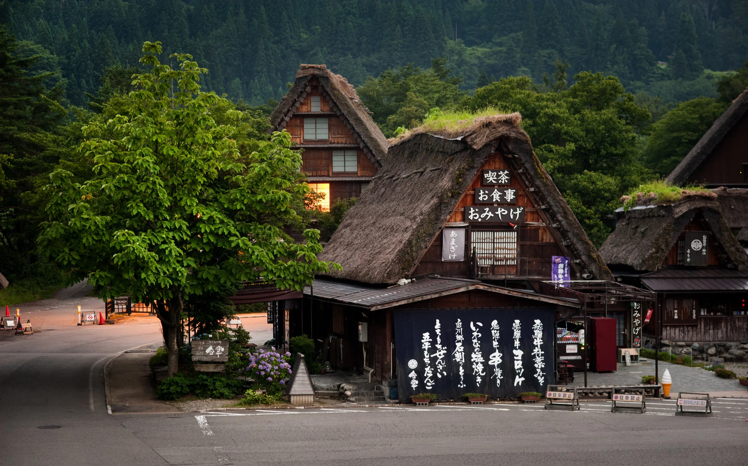 DSC_8248.jpg
