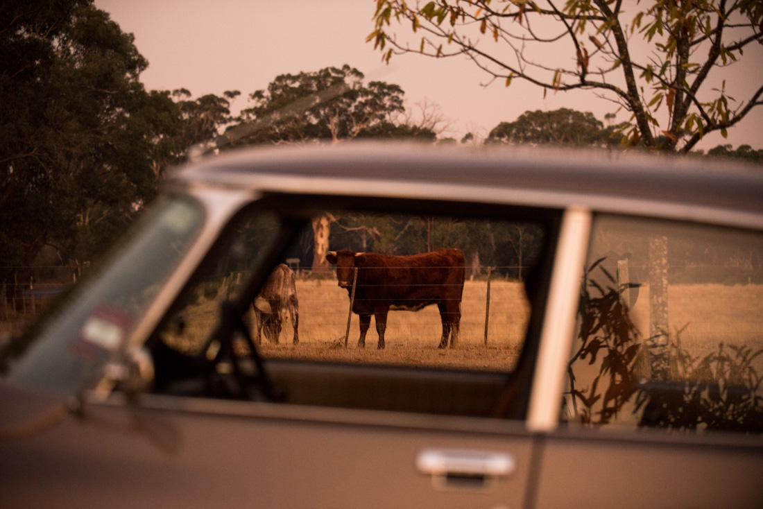 automotive_photography_melbourne-56.jpg