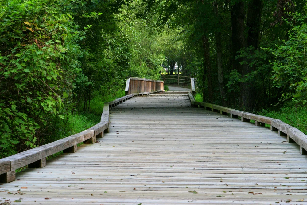 Transportation-Greenway2.jpg