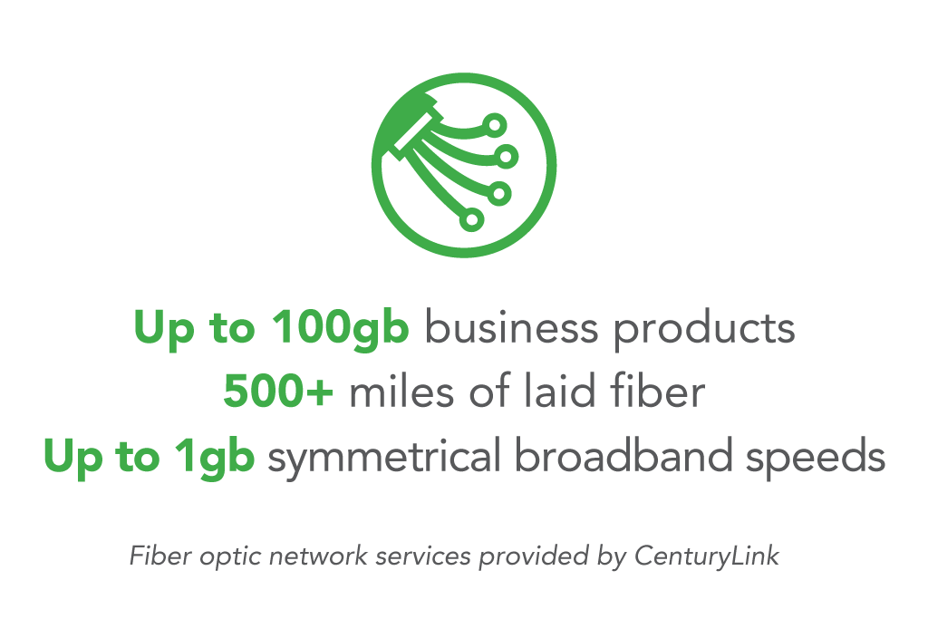 Infrastructure-FiberNetwork.png