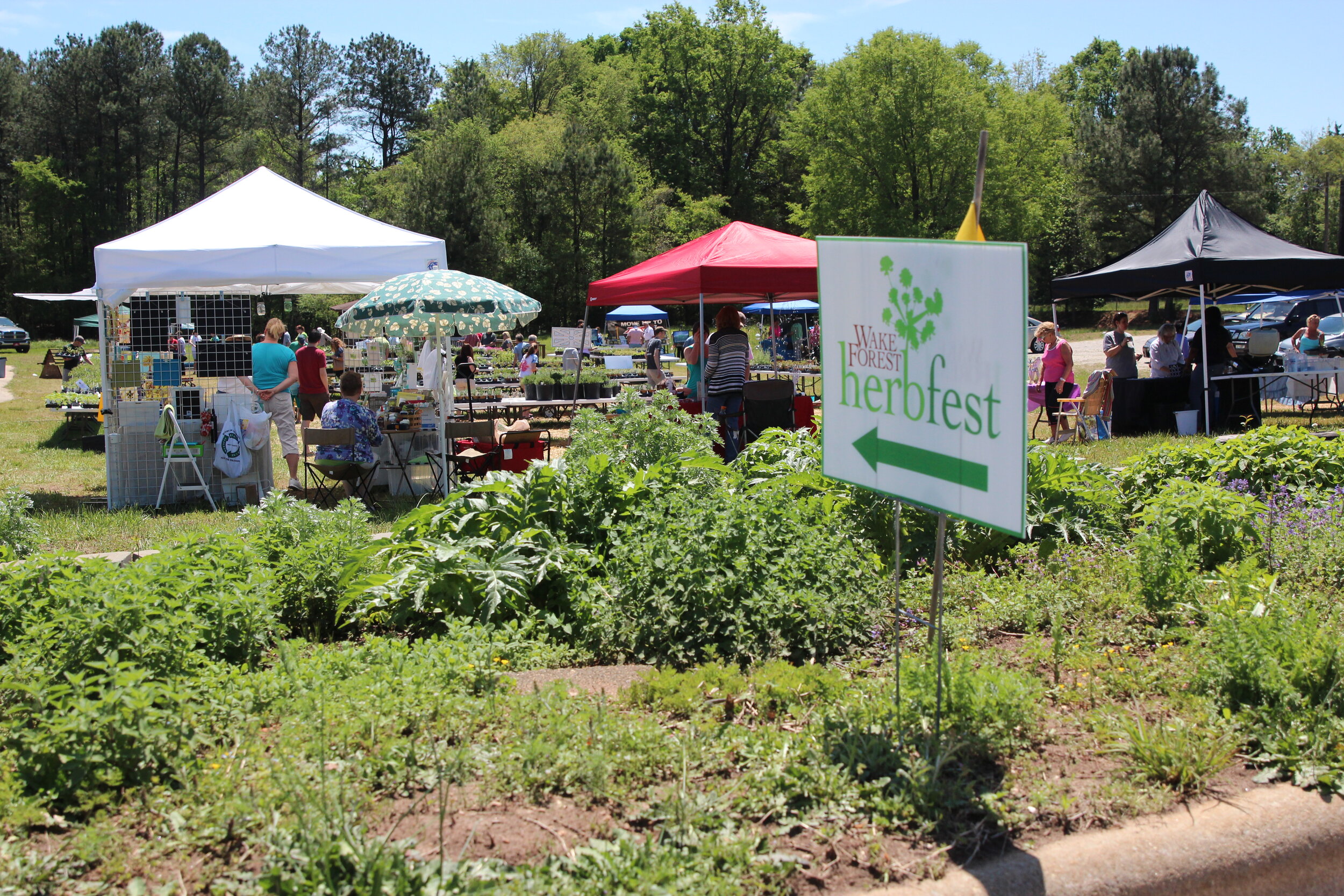It's that thyme of year: HerbFest in Downtown Wake Forest is back, and it's a big dill!