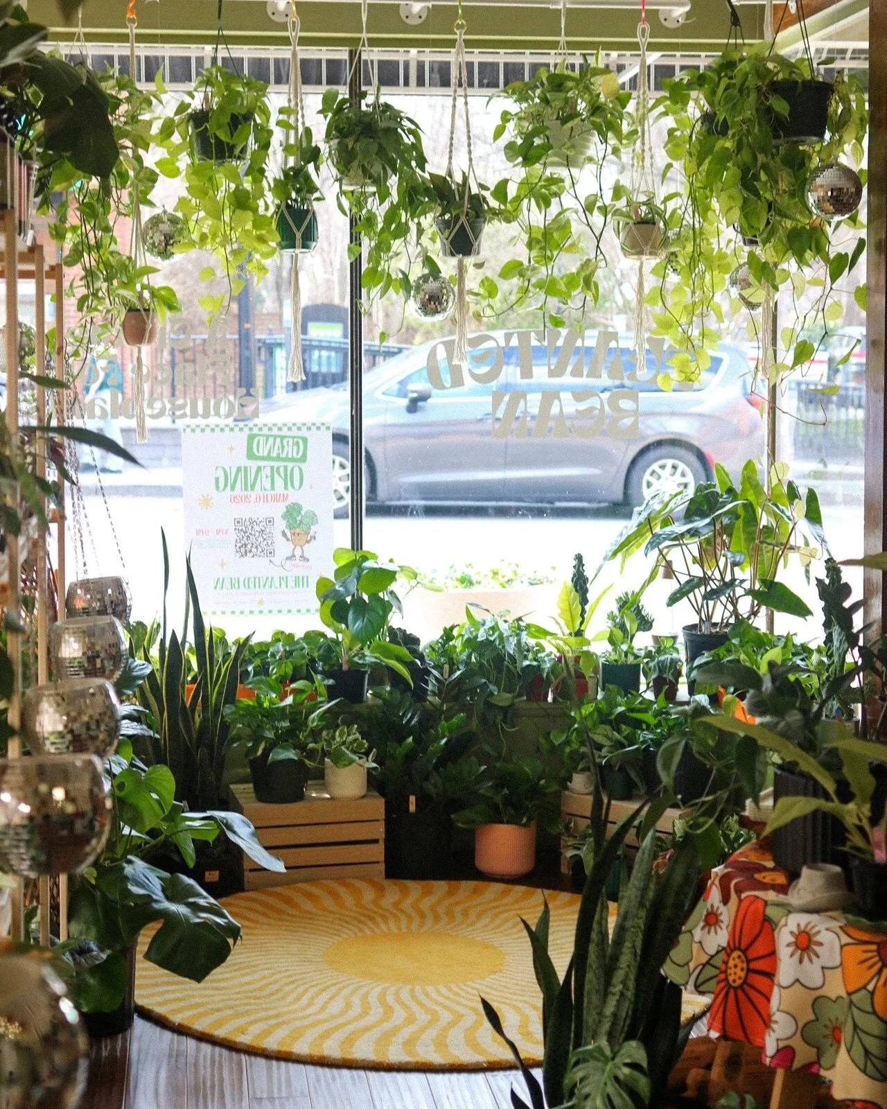 Growing Something Local in Downtown Wake Forest:  The Planted Bean Brings a Groovy New Kind of Greenery