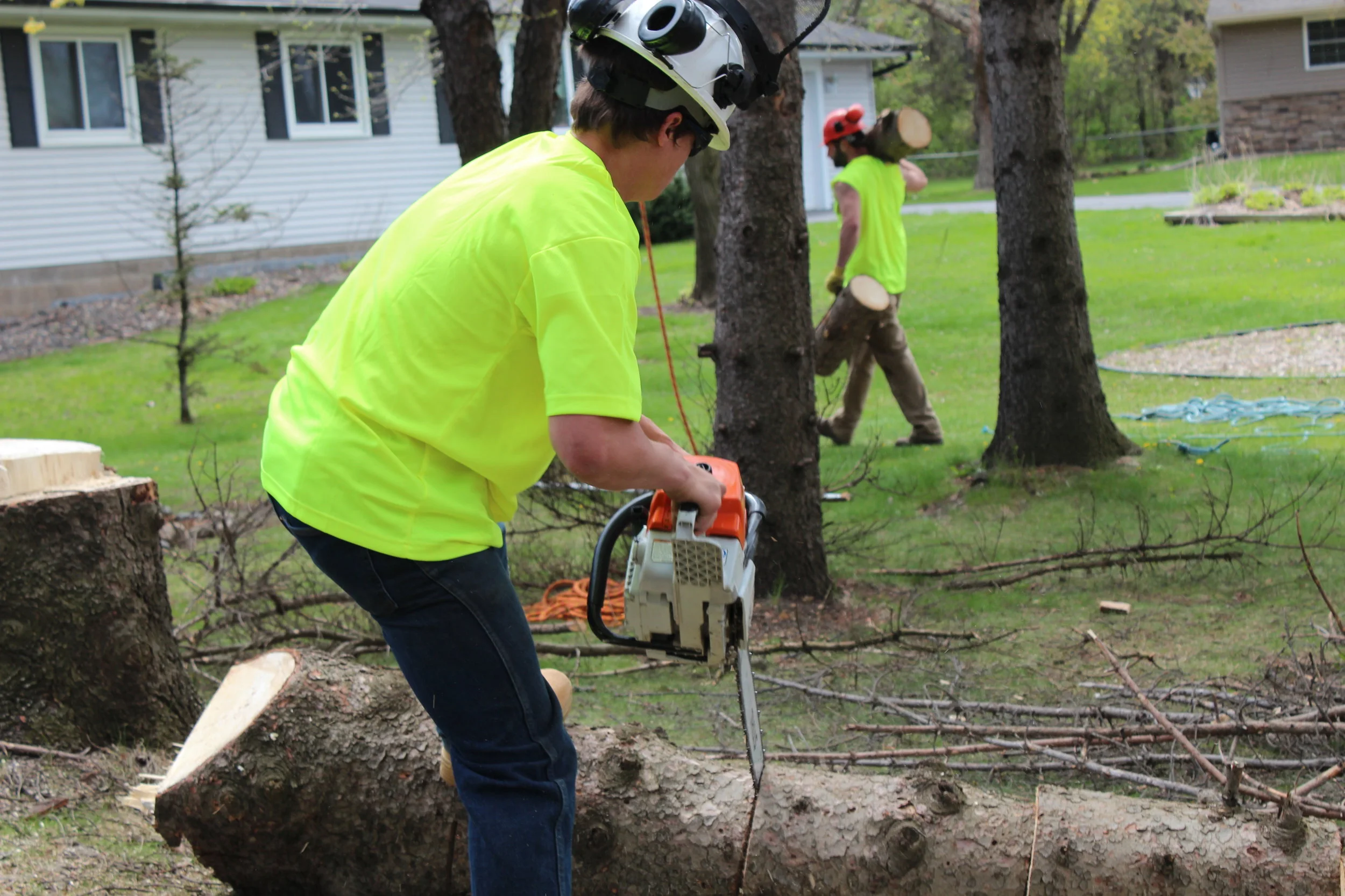 minneapolis-fallen-tree-removal.jpg