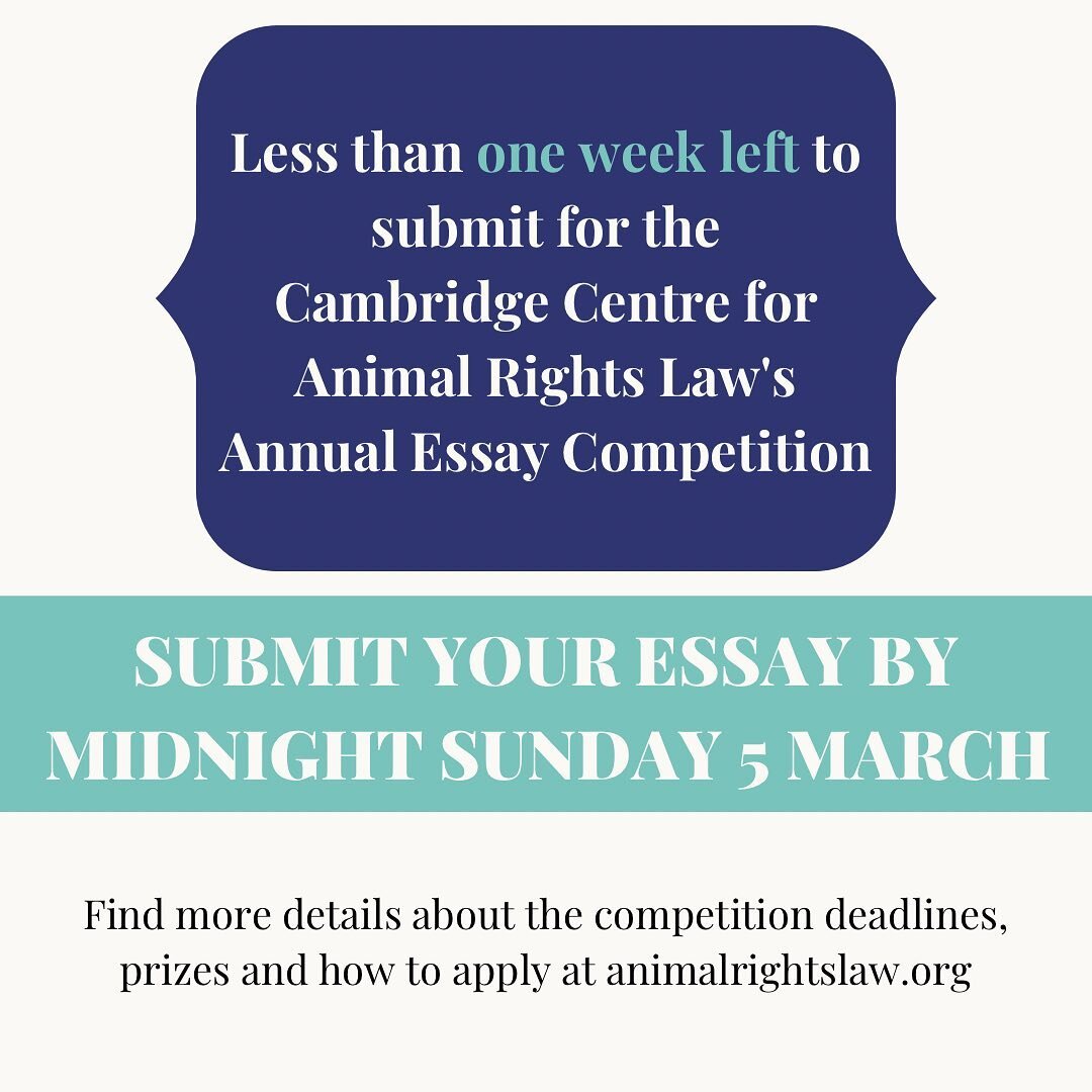 You've got to be in it to win it 🏆 and our annual essay competition is open globally for two groups: university students (incl. graduates) and secondary (high school) students. 

Essays must be inspired by the following prompt: Richard Ryder once wr