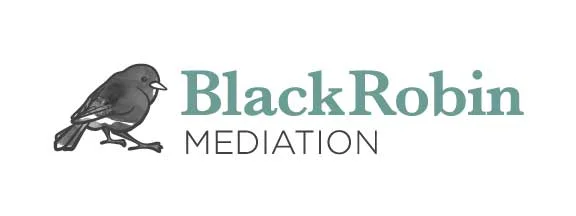 BRM_logo-horiz_colour_sml.jpg