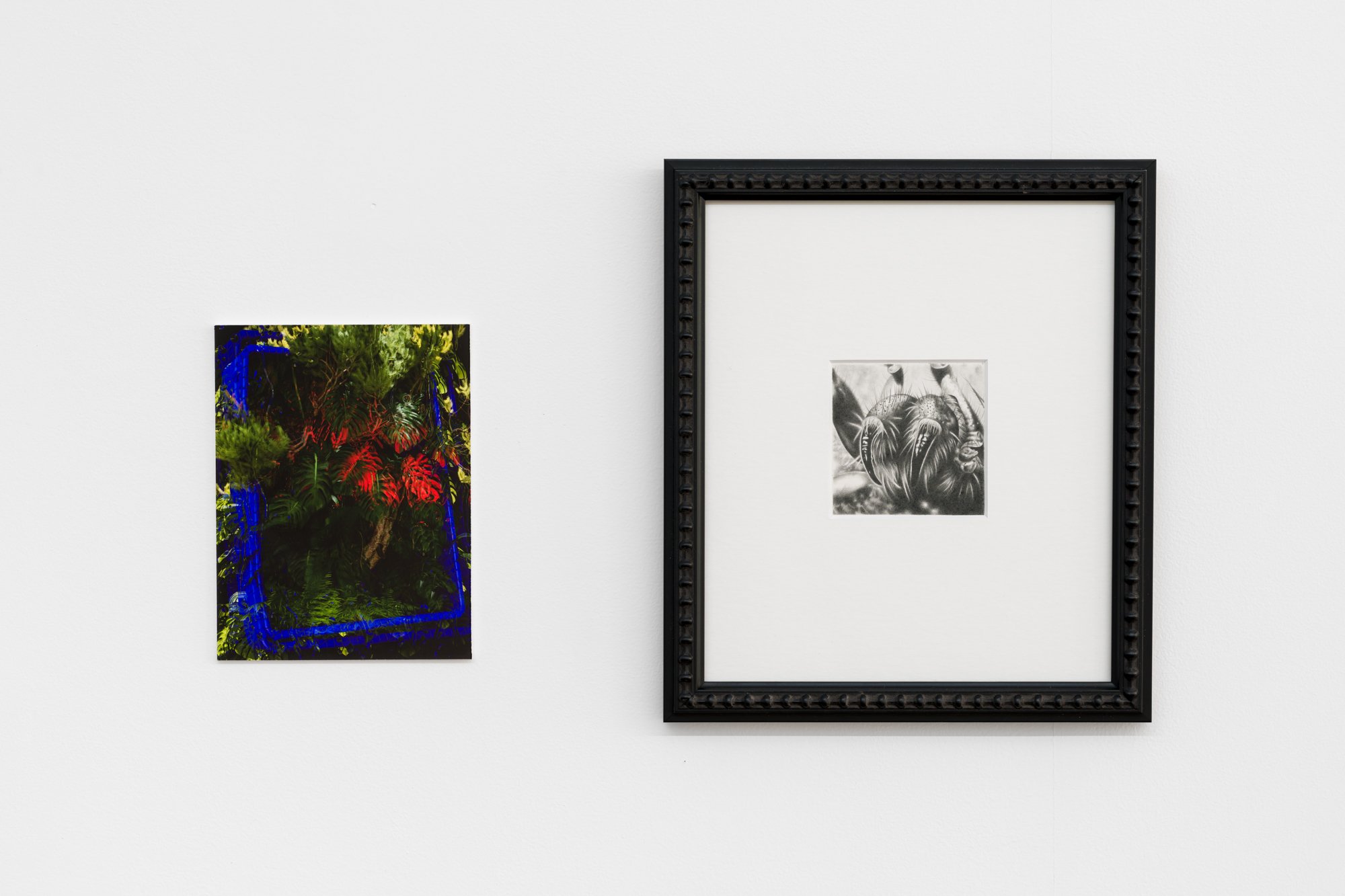 9 -youtu.beW1w3ot3JZno. Digital Print. 12x10cm and youtu.beDQw_kHoGKic. Graphite on Watercolour paper. 29x26cm.jpg