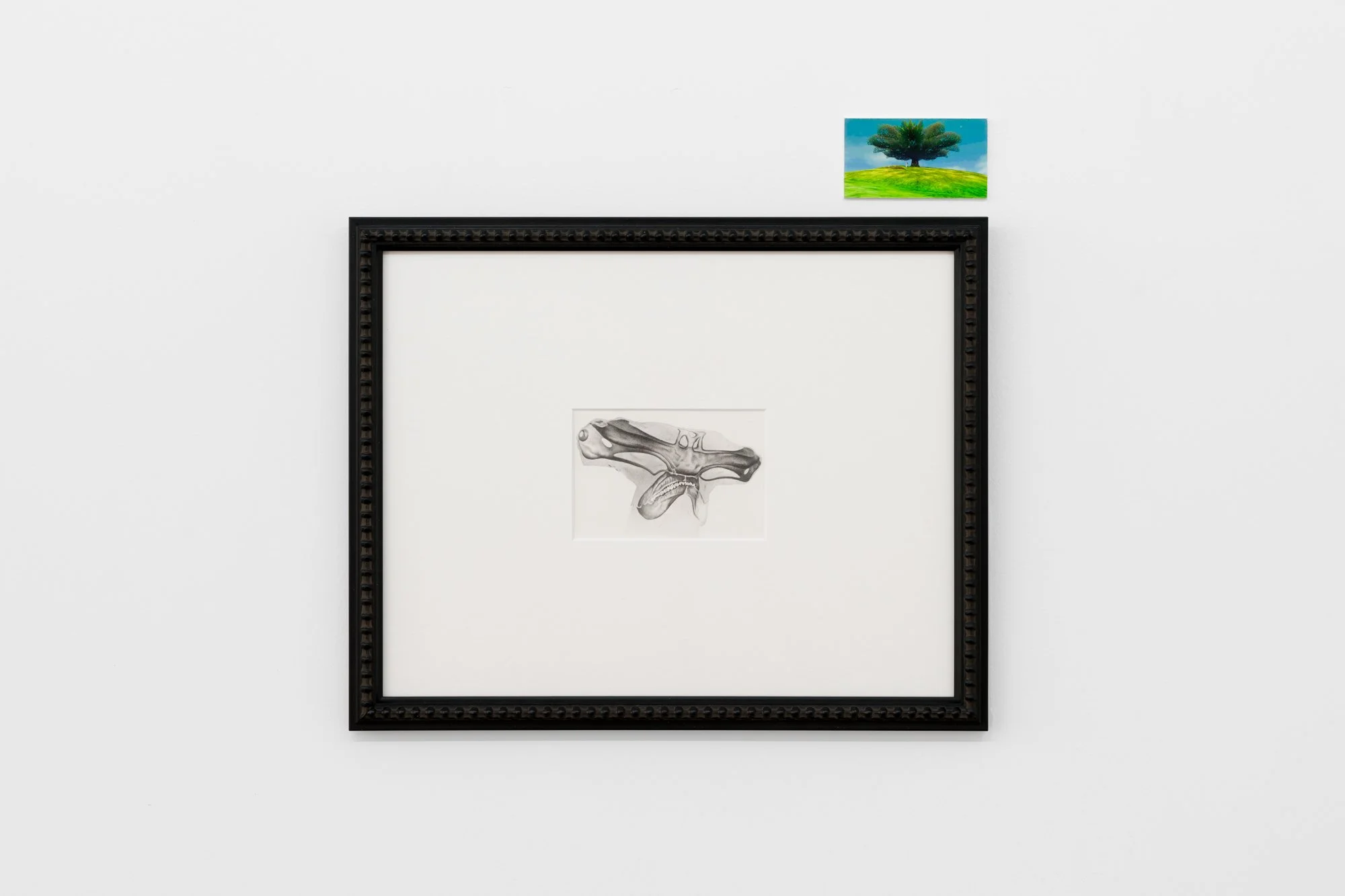 12 - youtu.beSyUKnQsLOoE. Graphite on watercolour paper. 41x32cm.jpg