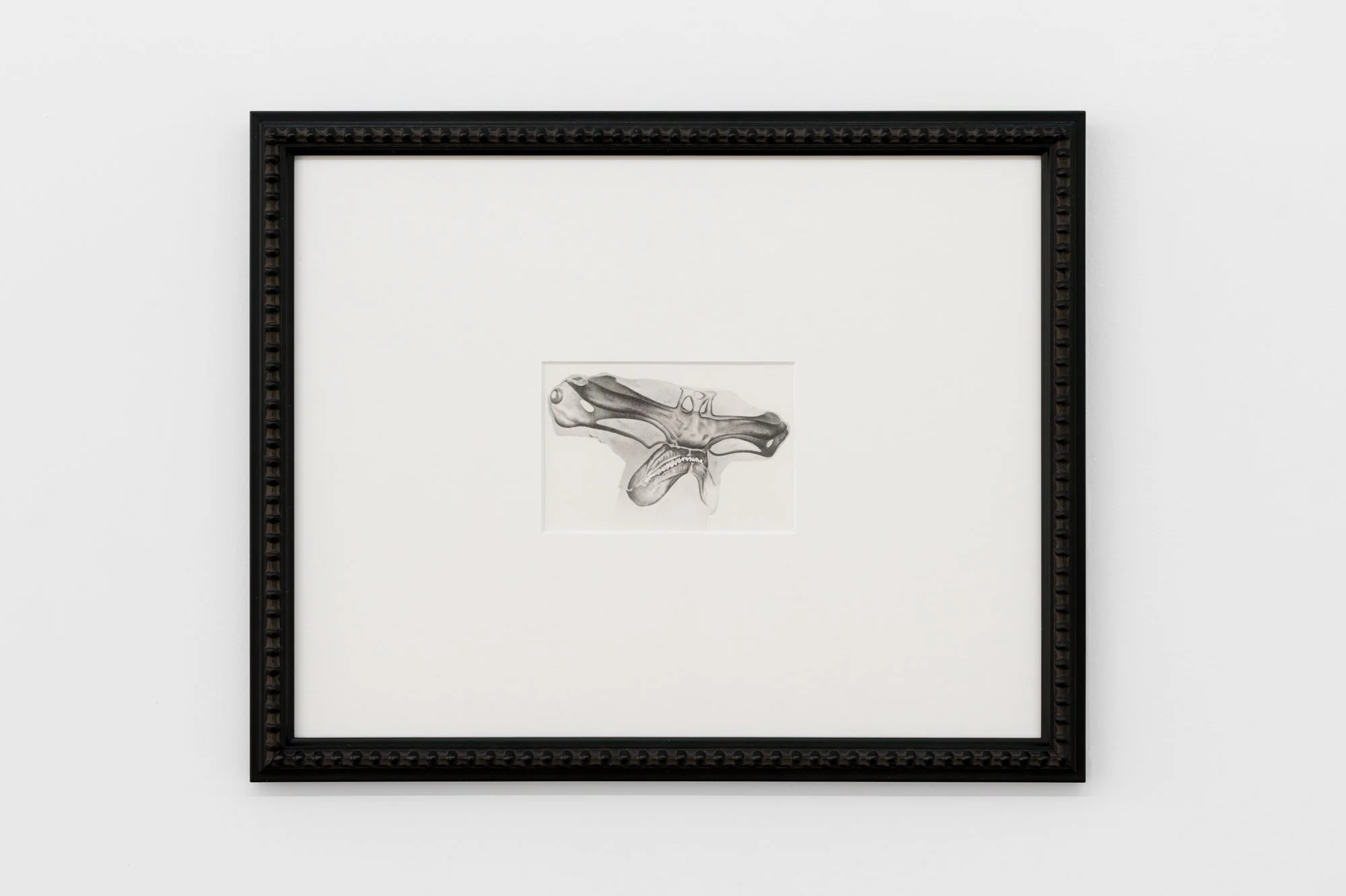 youtu.beSyUKnQsLOoE -Graphite on watercolour paper . 41 x 32cm.jpg