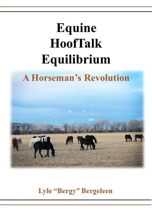 10.3.16 Equilibrium DVD.JPG