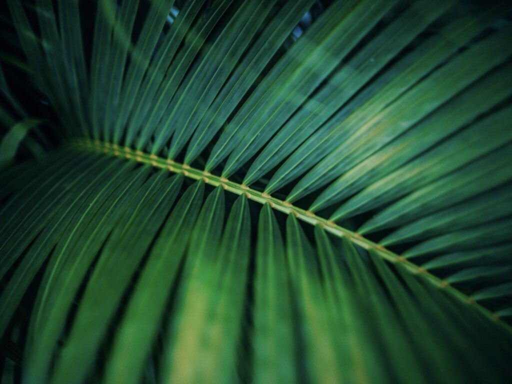 Jesus Helps Us Serve During Hard Times