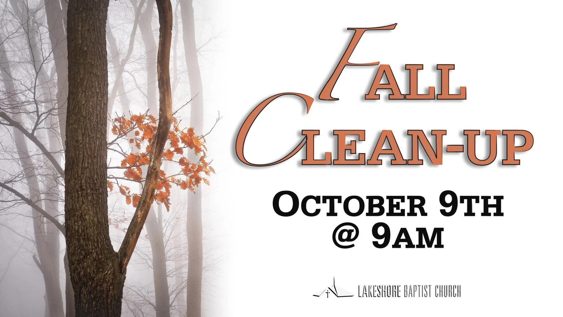 Fall Clean-up
