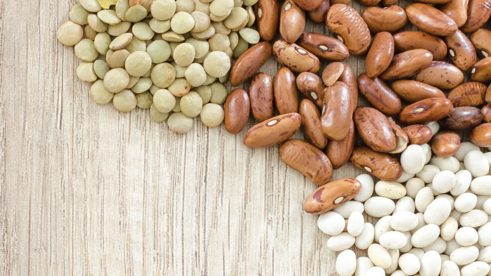 Truthseekers' Class "Bean" Auction