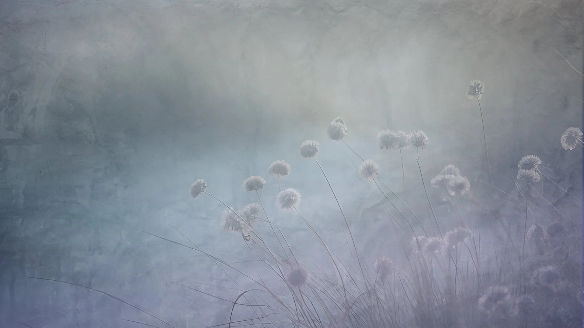 The Influence of the Resurrection