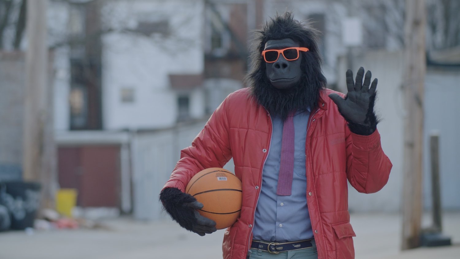 Sylvio: Gorilla my dreams