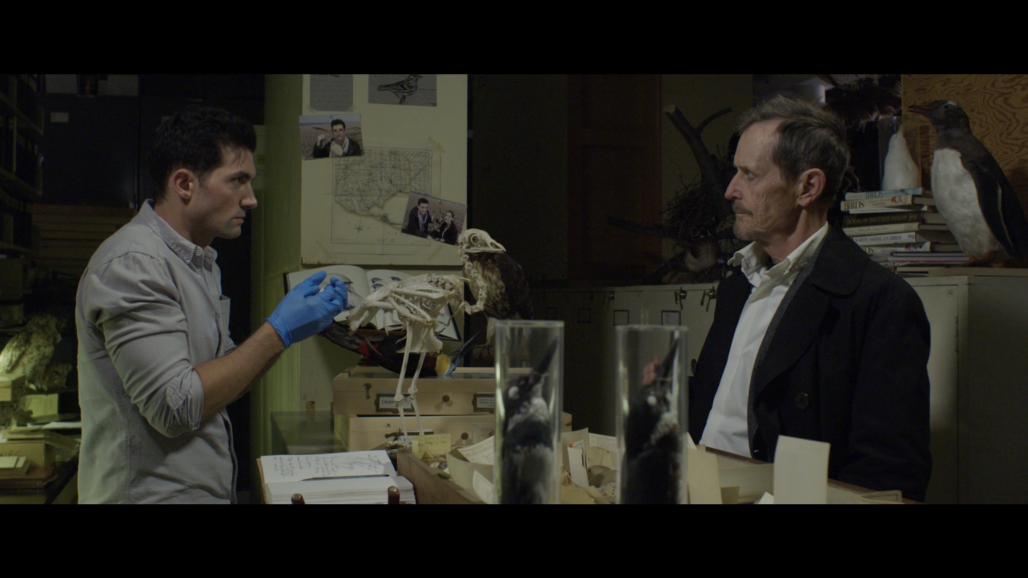 David Alpay is a creepy ornithologist and Steven McHattie is a crooked oil-baron in Birdland