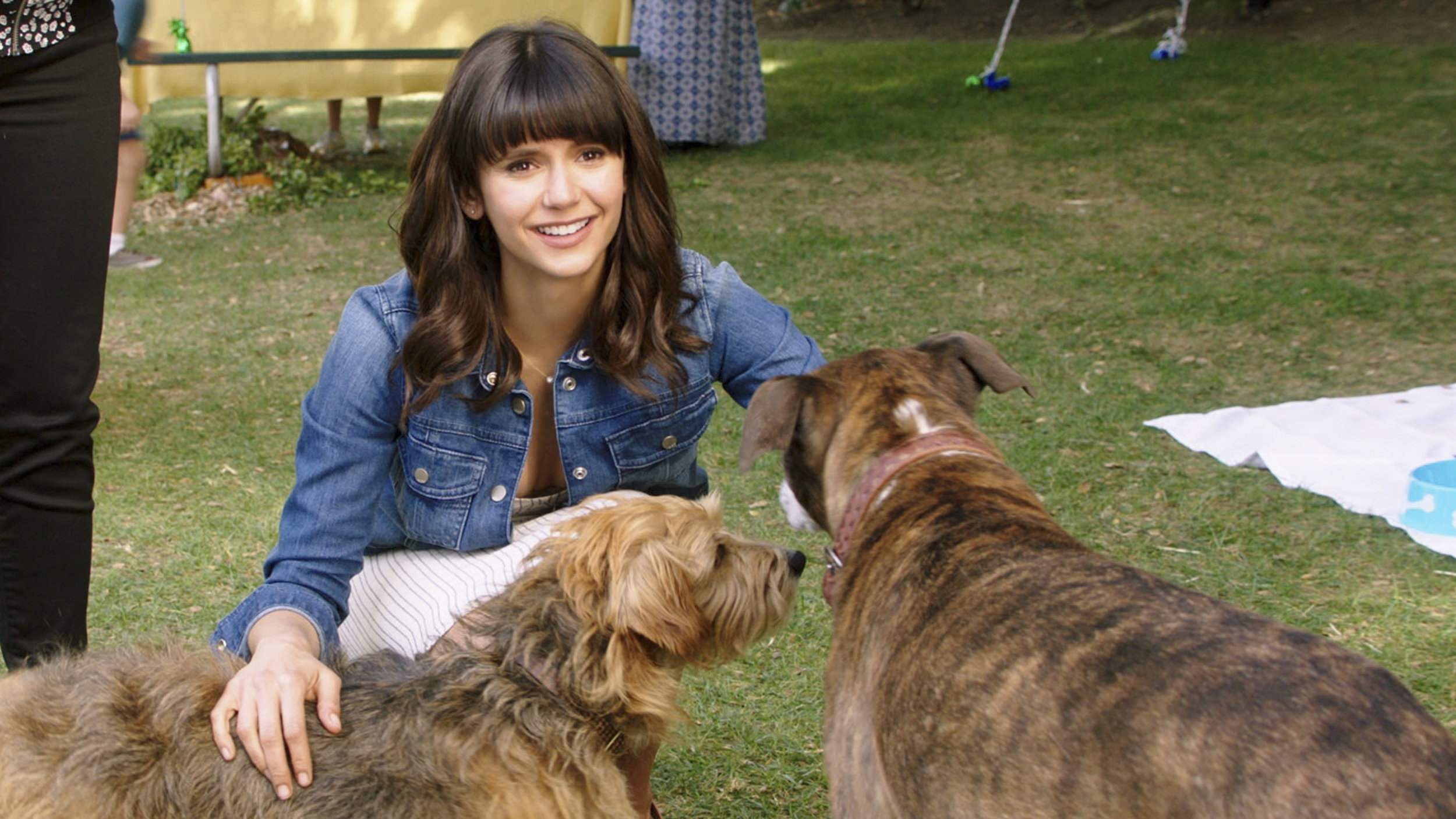 Nina Dobrev plays a morning news host and dog-lover in Dog Days.