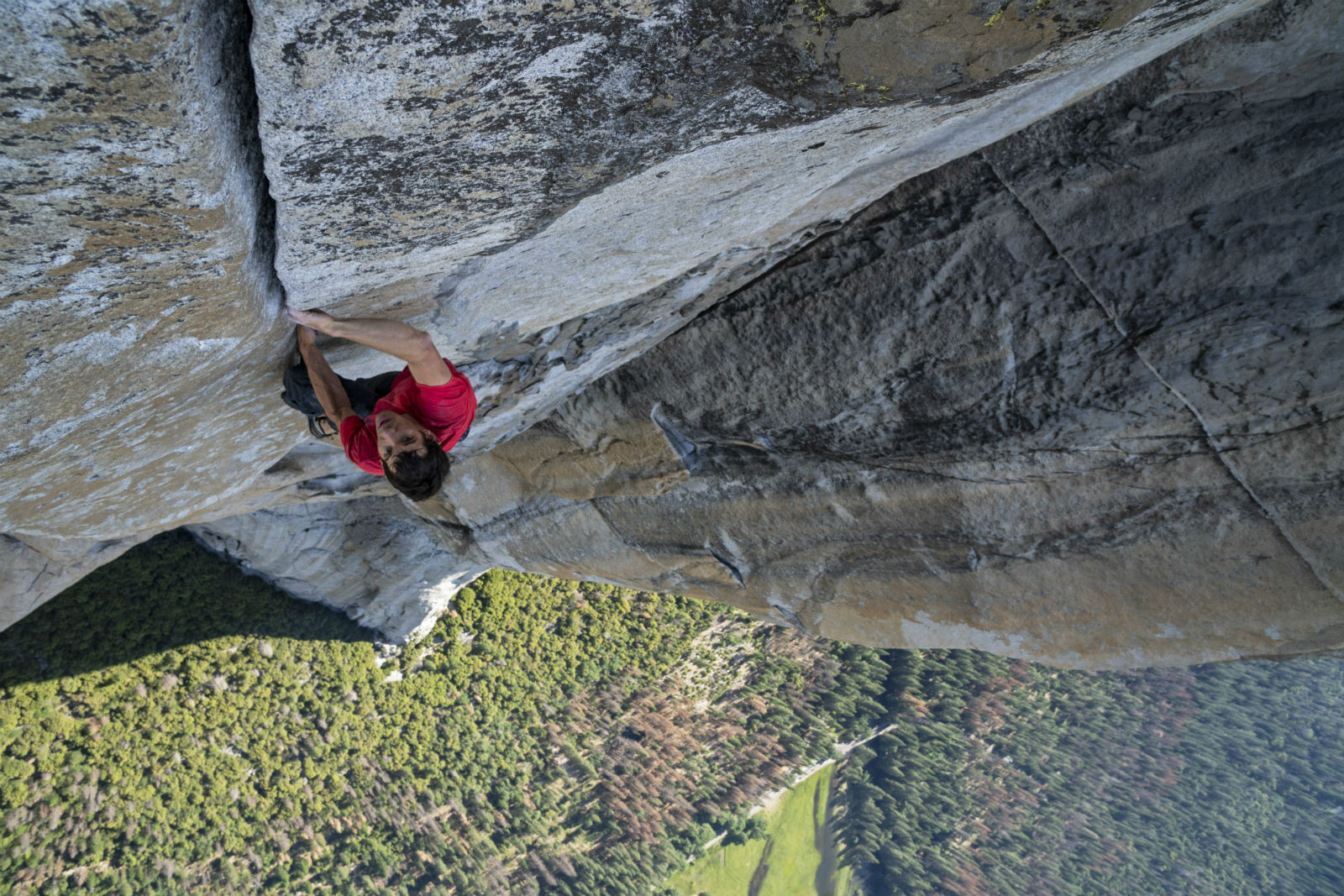 A typically thrilling scene from Free Solo.