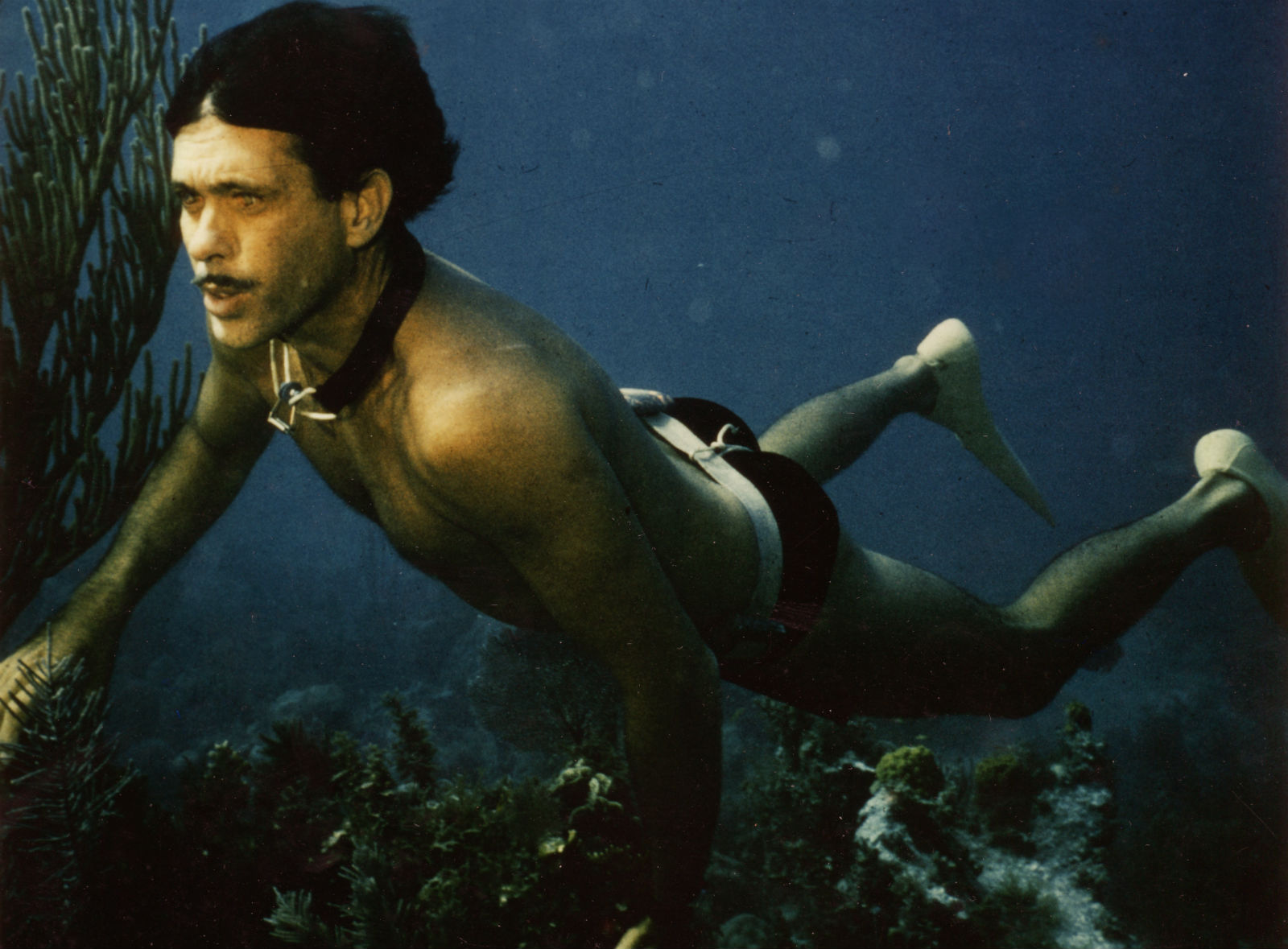 Jacques Mayol in his element…
