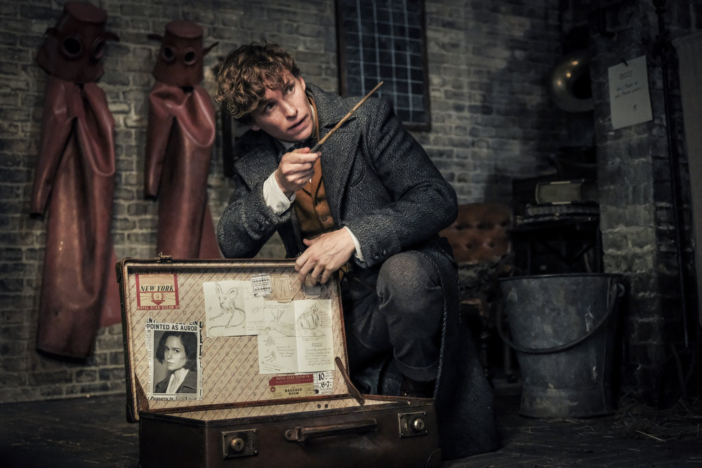 Eddie Redmayne as Newt Scamander in Fantastic Beasts: The Crimes of Grindelwald.
