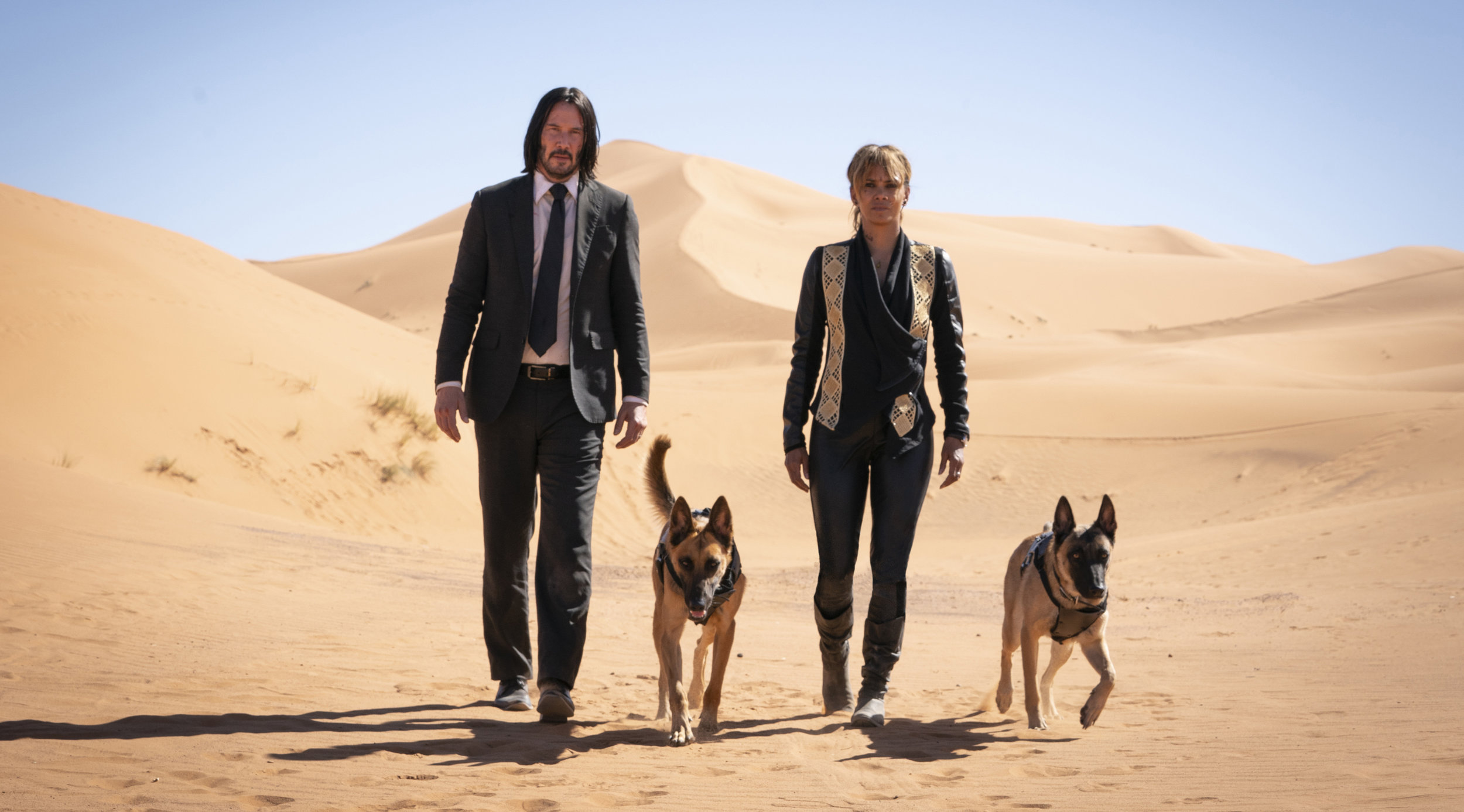 Putative good-guy assassins Keanu Reeves and Halle Berry (and dogs) looking for answers in a dry place