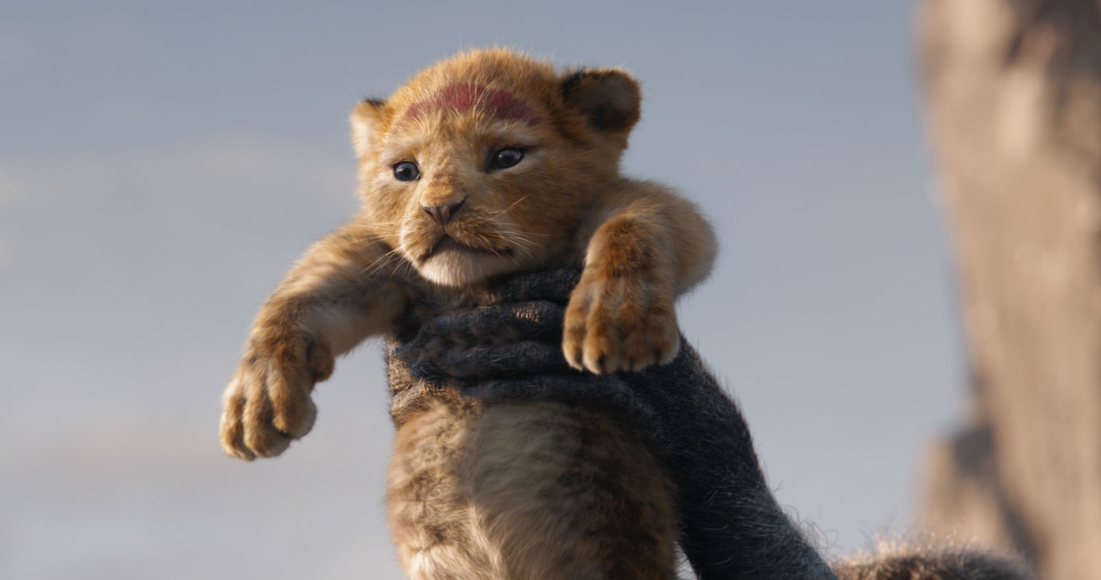 TheLionKing_resize.jpg