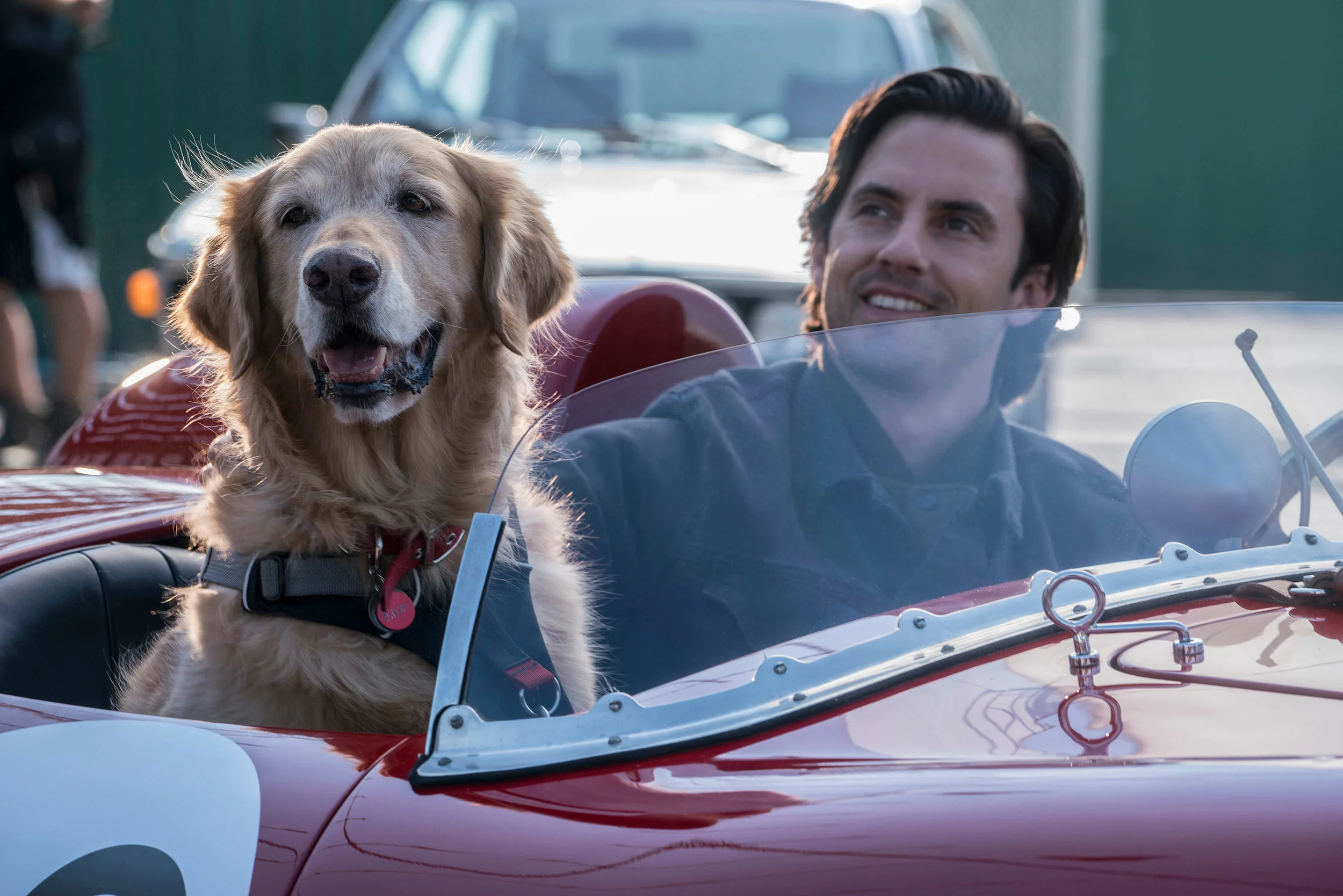 Enzo and his race car driver buddy Denny in The Art of Racing in the Rain