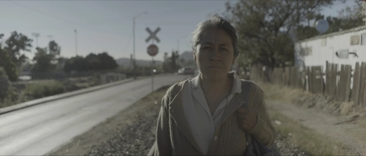 Identifying Features: Dark, Lyrical Mexican Film Brings Beauty and Horror to Bear