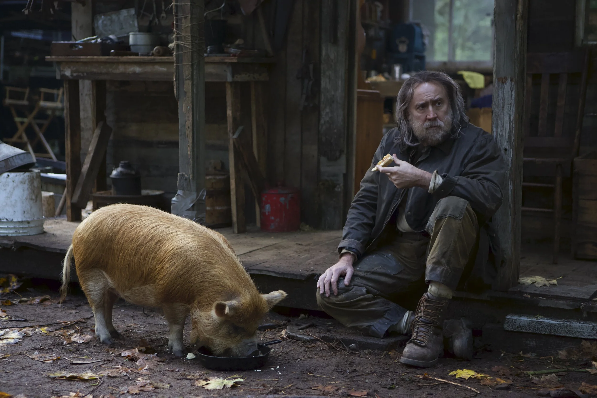 Pig: A truffle hunter's search for a lost pig may be Nicolas Cage's least hammy performance