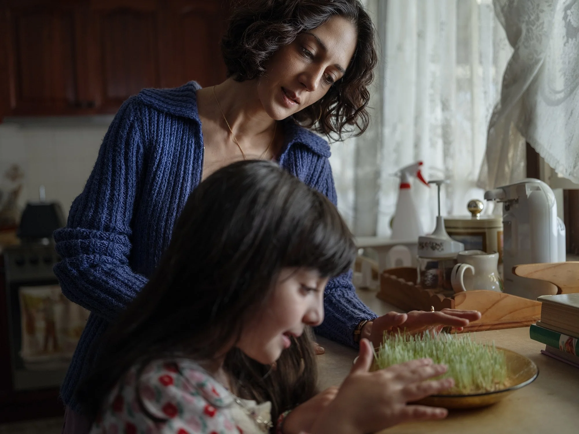 Shayda: An Homage to The Resilience of Women