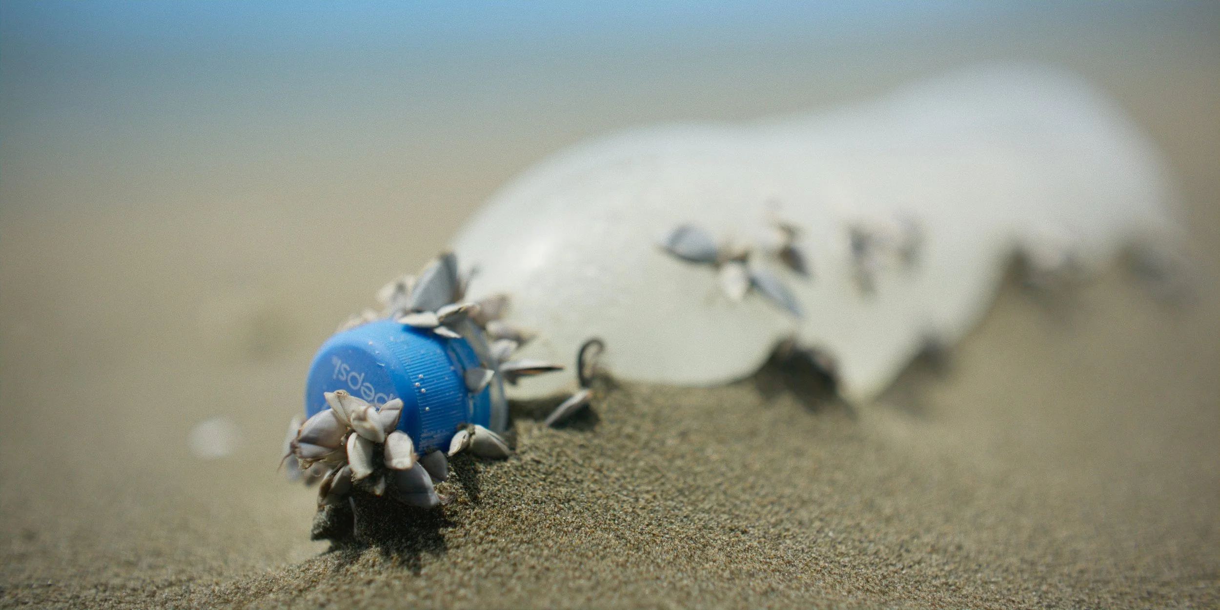 Plastic People: Hot Docs Cinema to Bid Au Revoir With An Alarming Look at Our Bodies' Plastic Bits