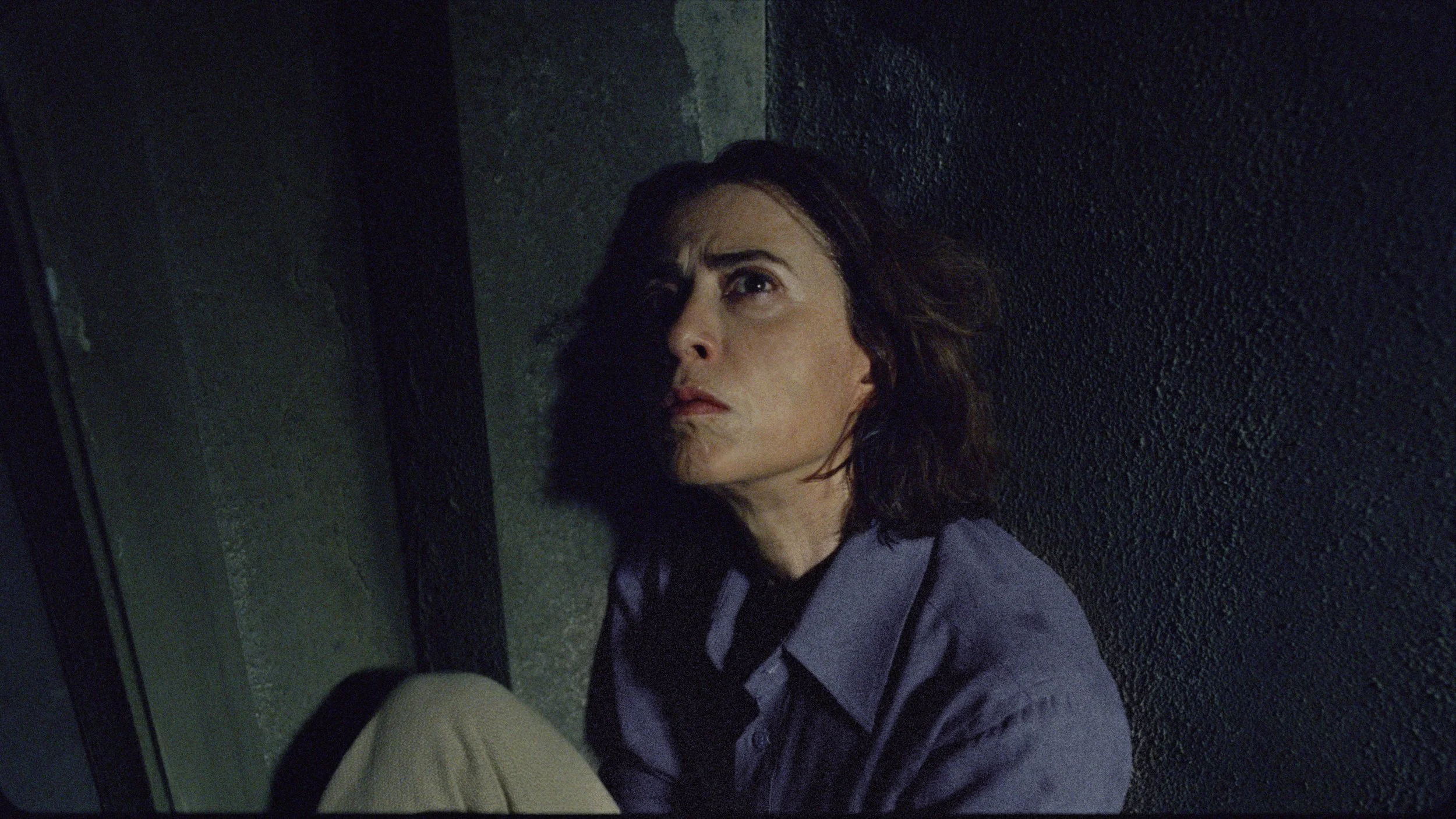 I’m Still Here: Fernanda Torres Shines as a Mother Fighting for Her Family