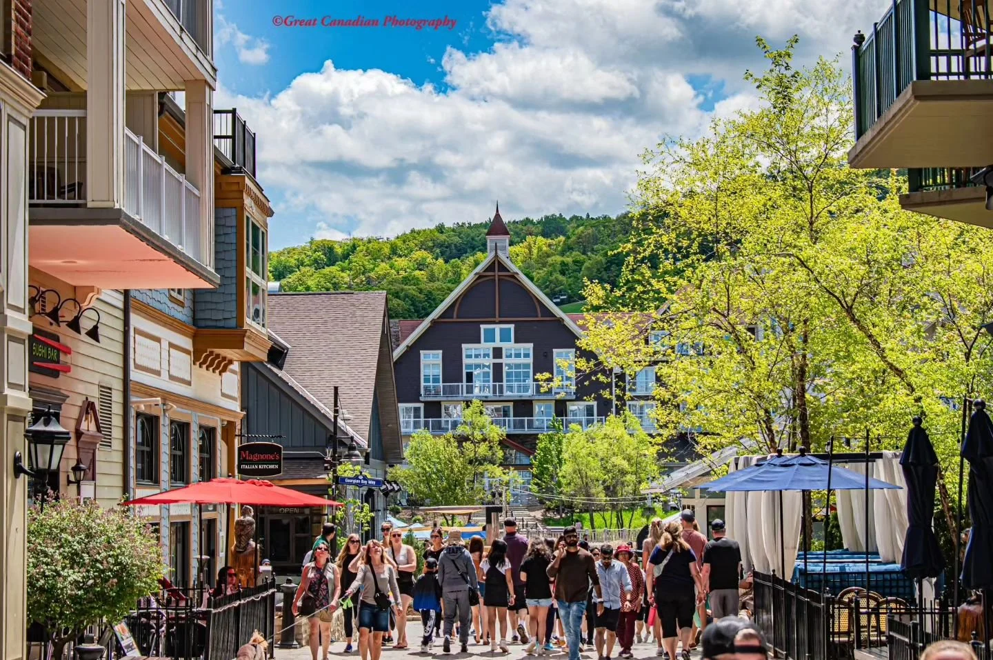 The Blue Mountain Film Festival: Nope, No Slopes, But Movies For All