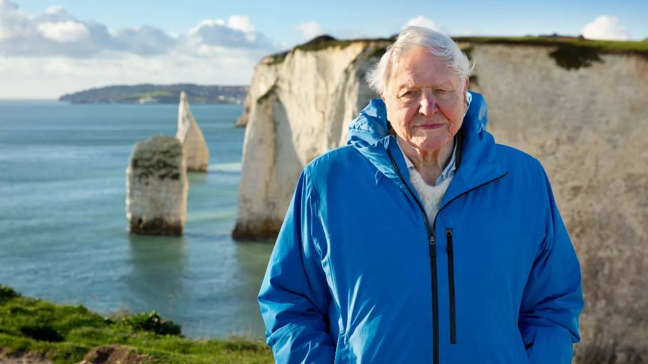Ocean with David Attenborough: Taking an Inspirational Plunge with the Old Man and the Sea