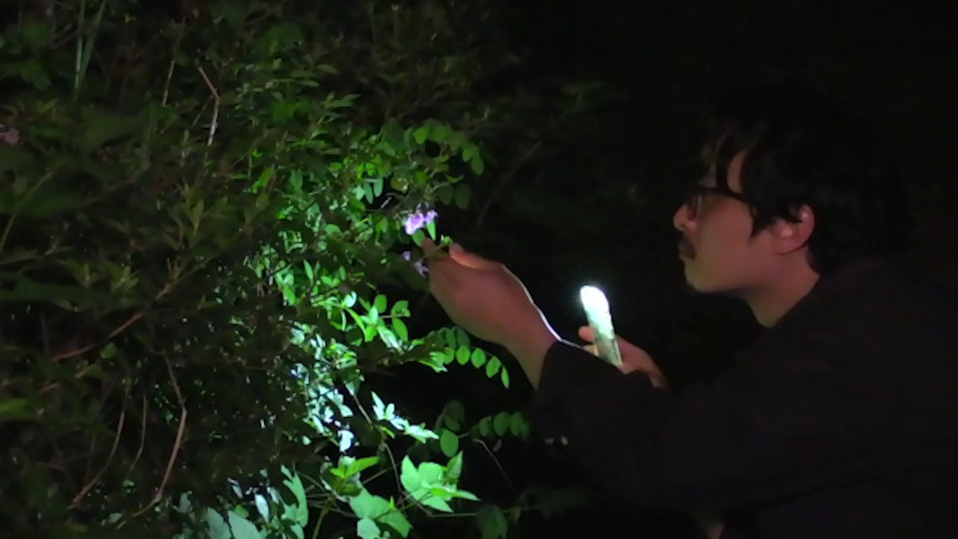 What Does That Nature Say to You: Hong Sang-soo’s Polite Cruelty