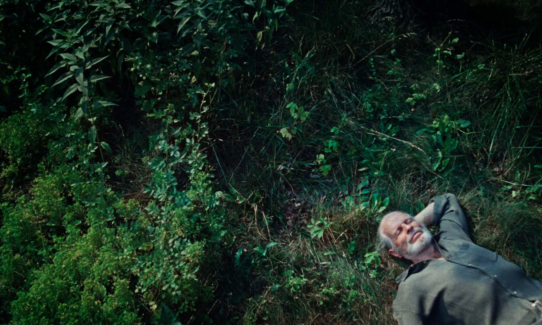 Hot Docs 2026: Documentary Festival Offers 115 Reasons to Cheer, Pt. 1